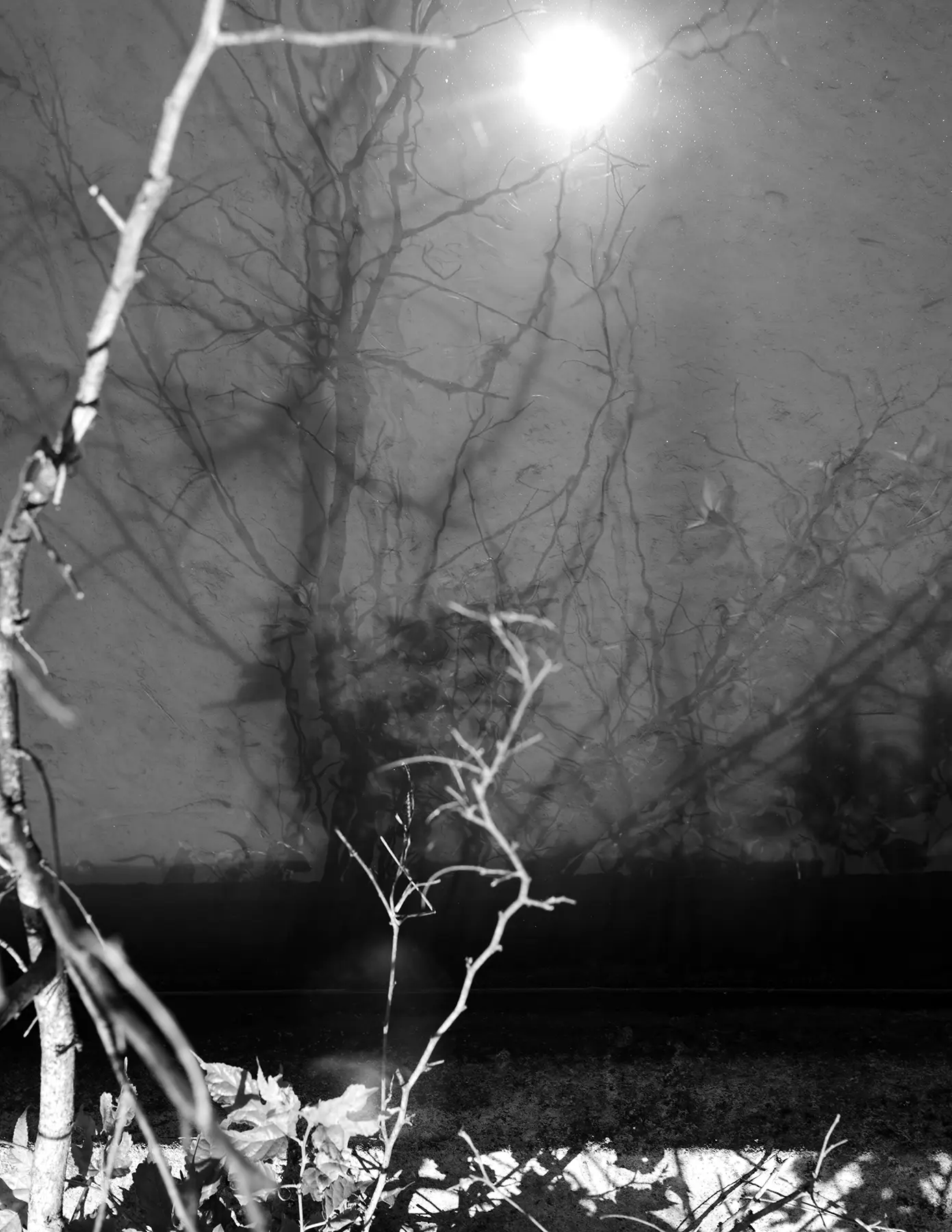 Dreams of Daylight