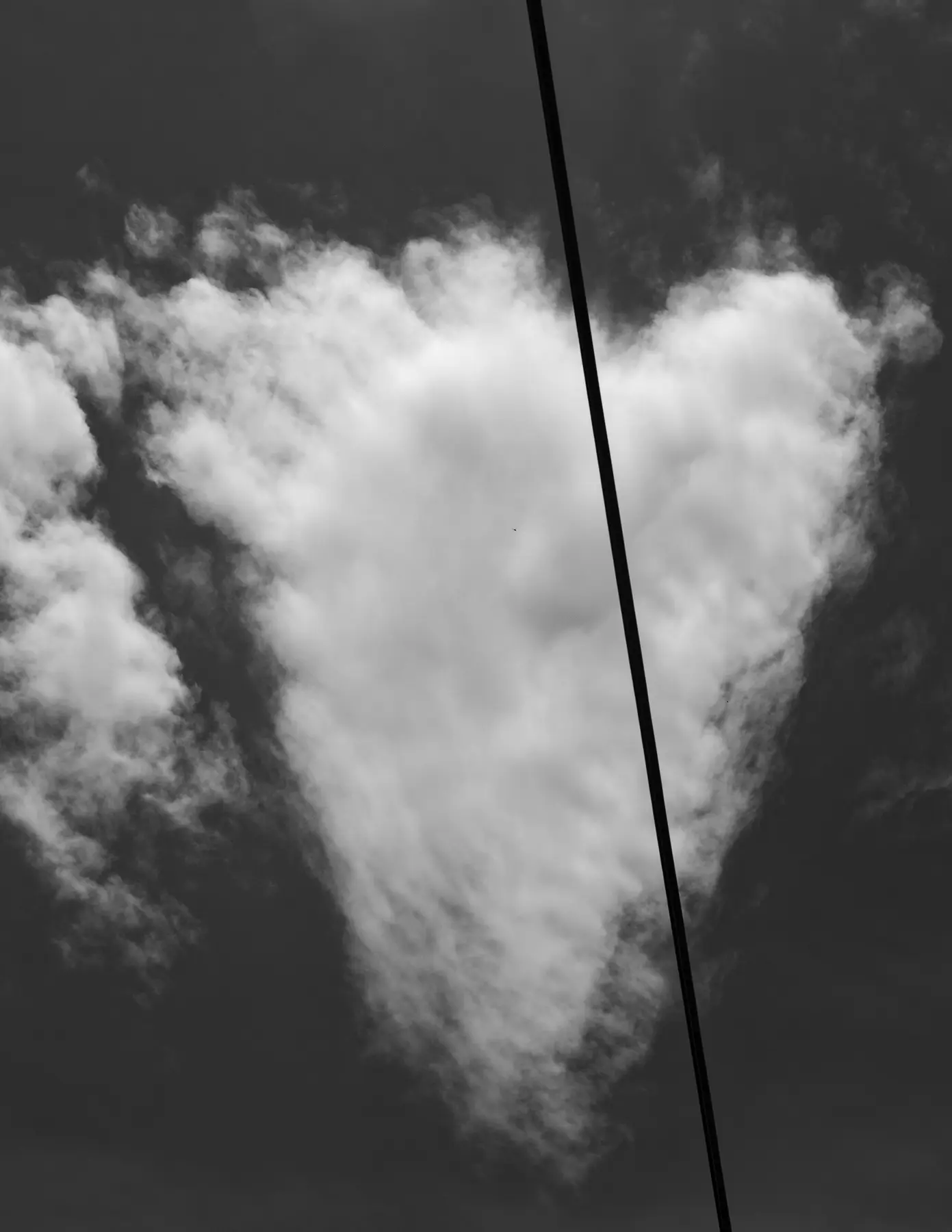 Liquid Love