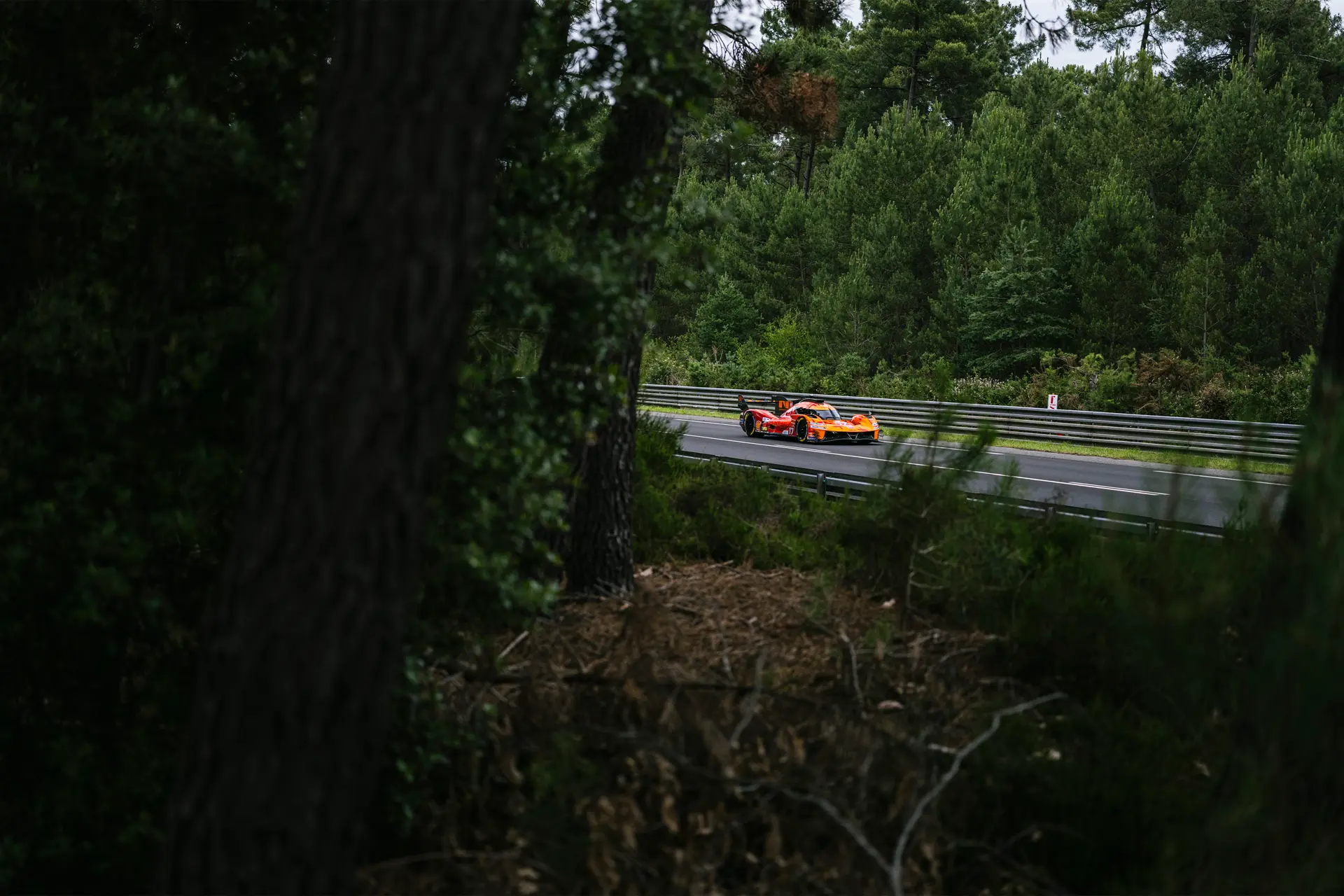 Racing 24 Hours Le Mans - view from the trees