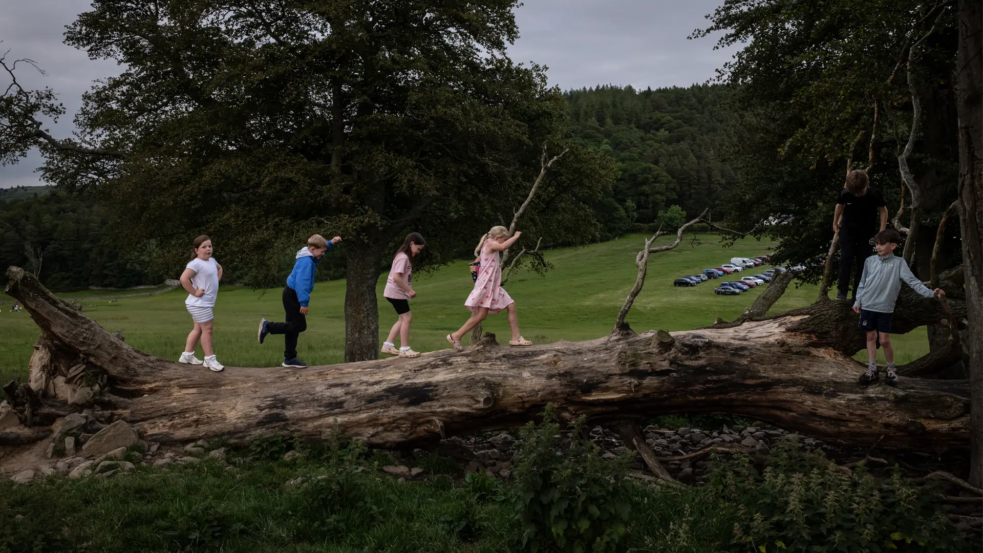 Kids are walking over a tree trunk