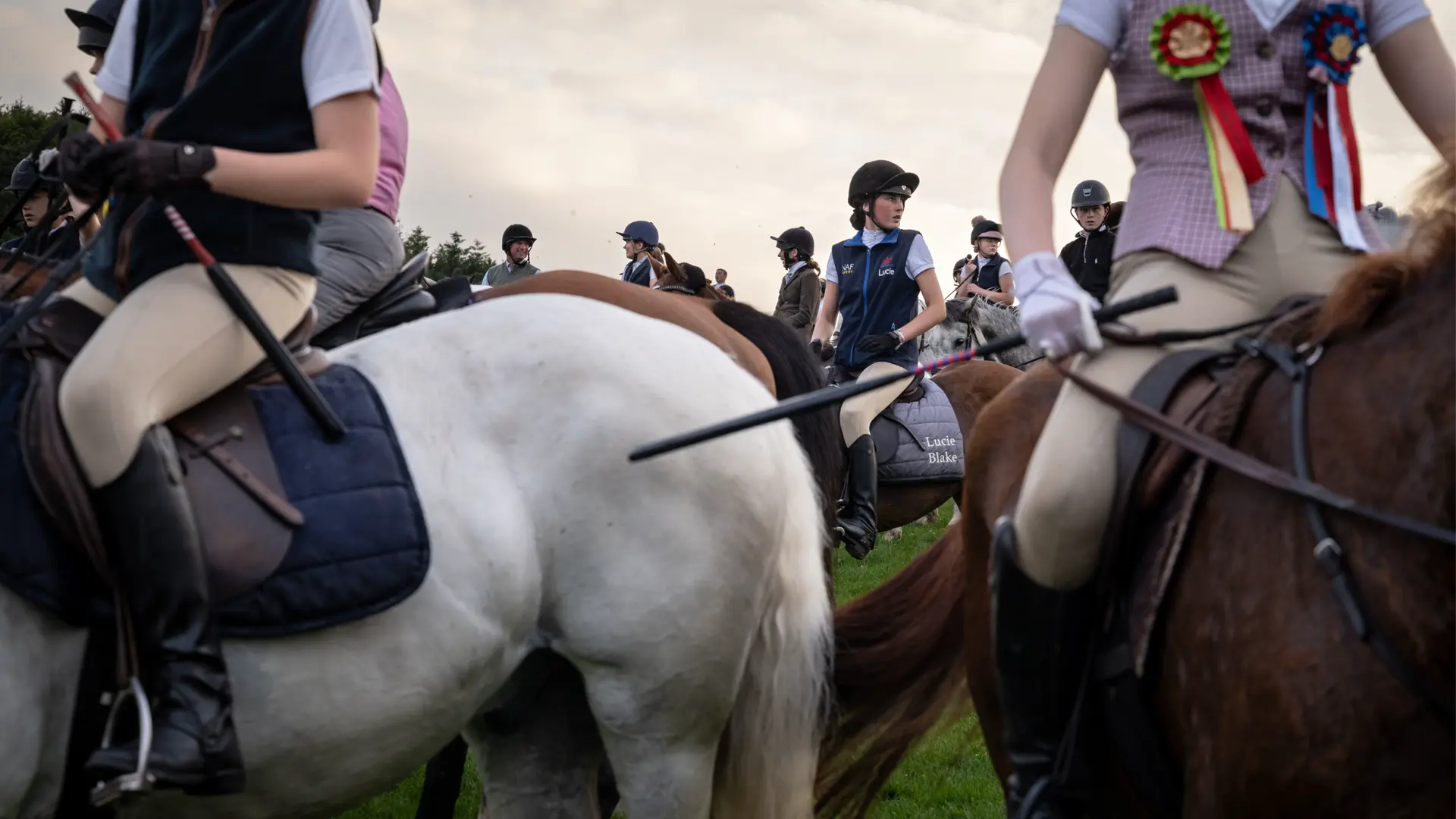 Riders on Horses