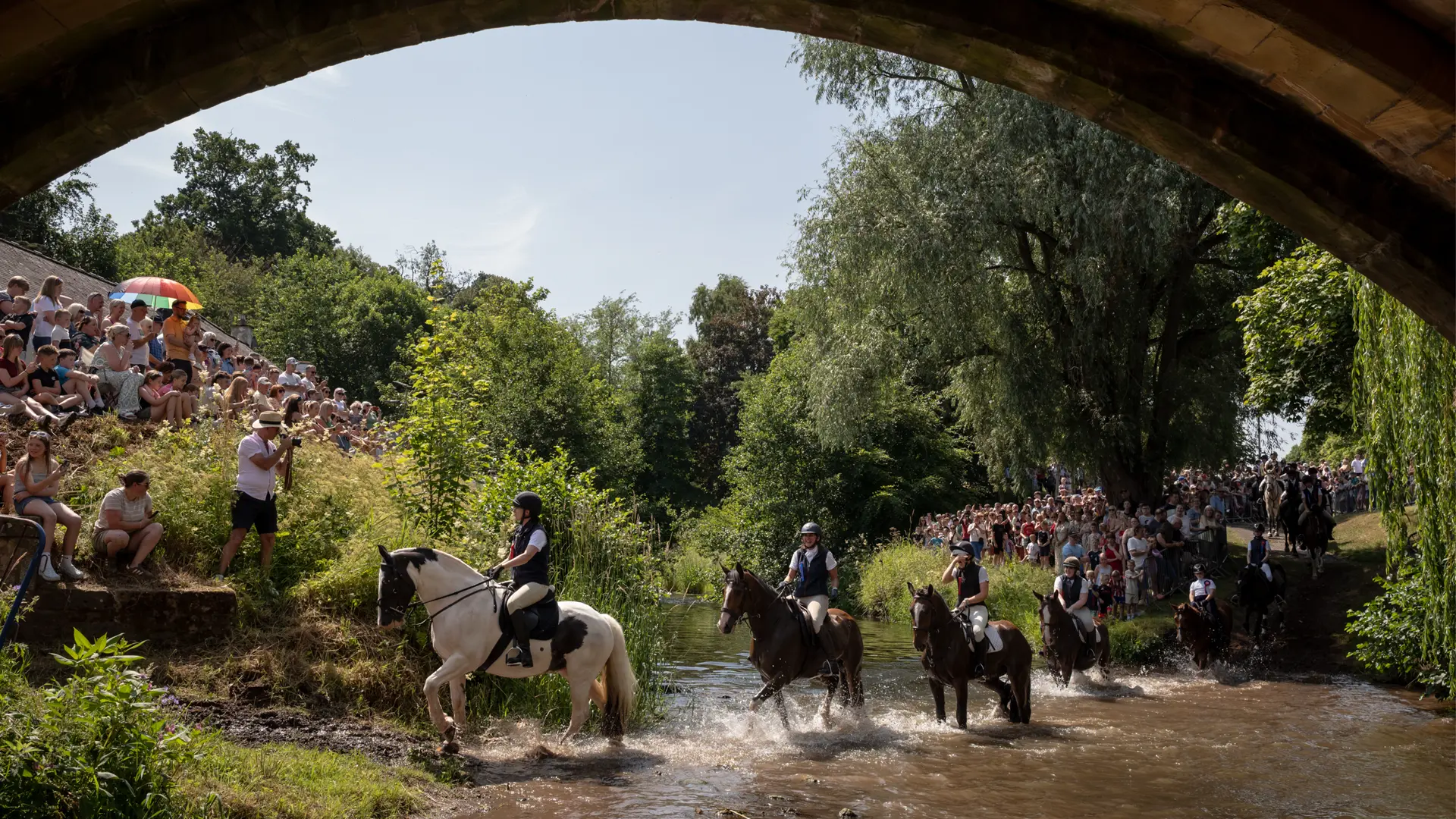 Horses walking through a river