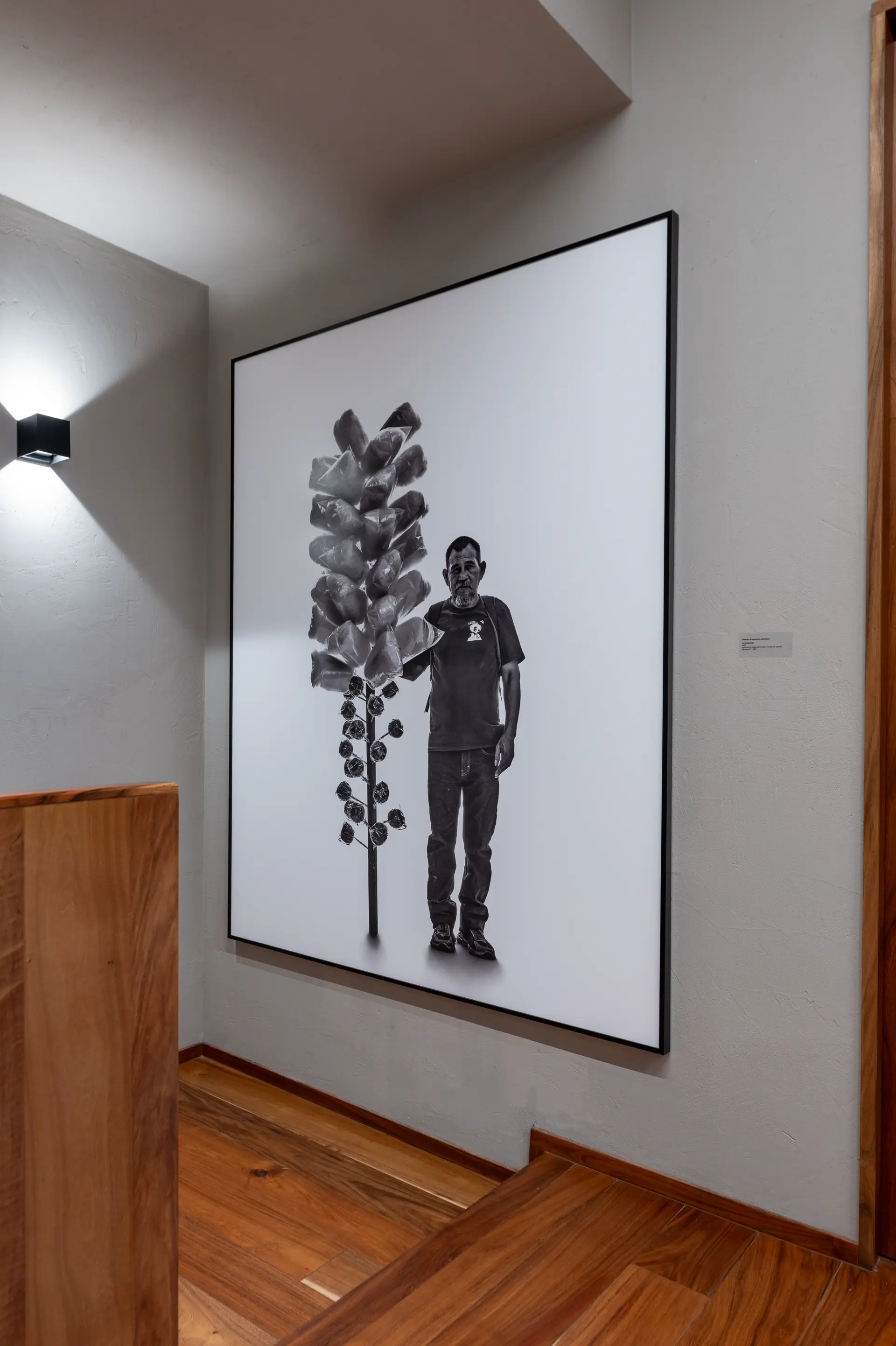 Gallery installation shot