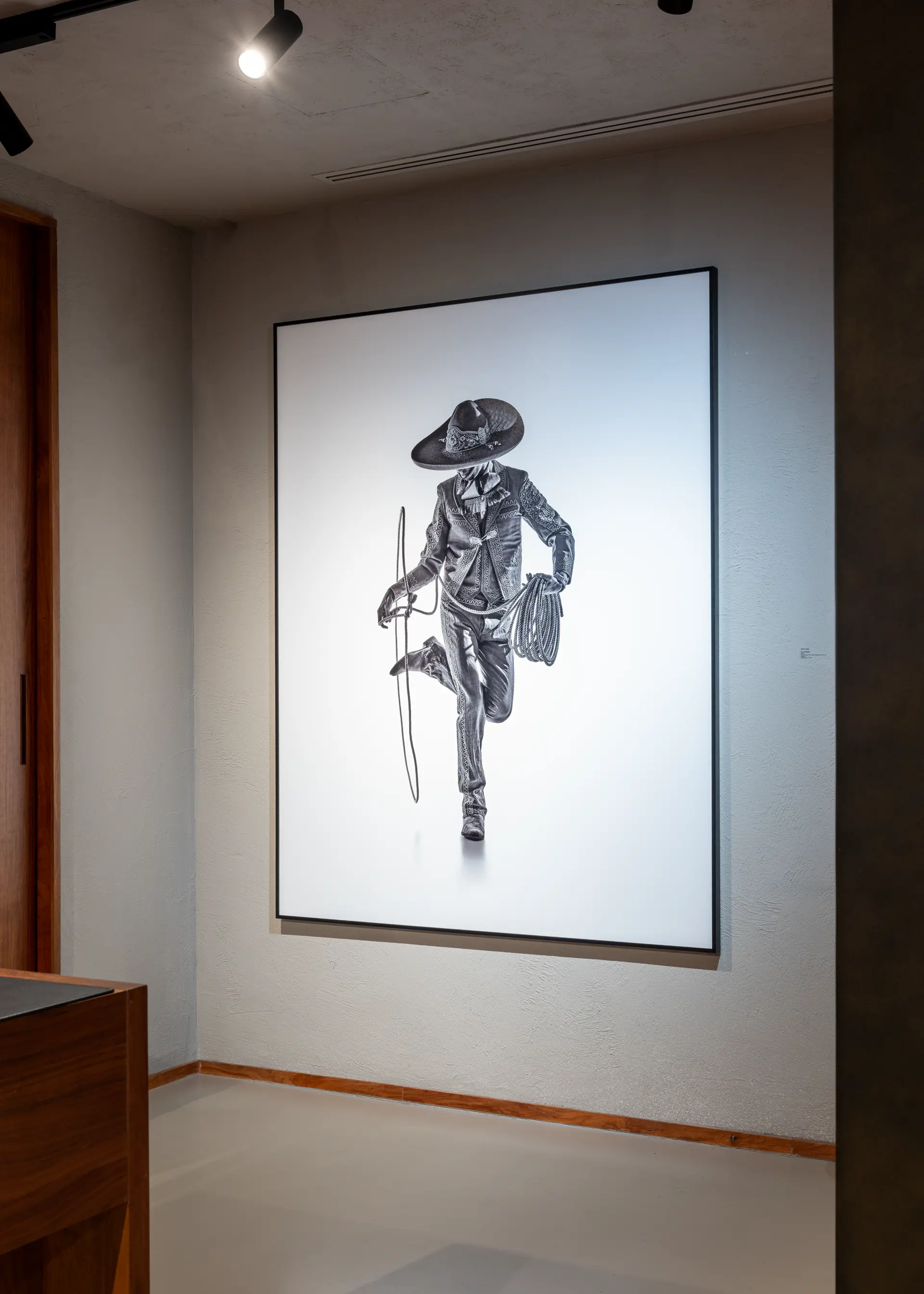 Gallery installation shot