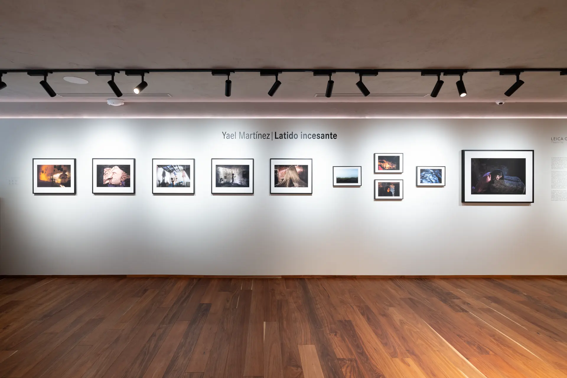 Gallery installation shot