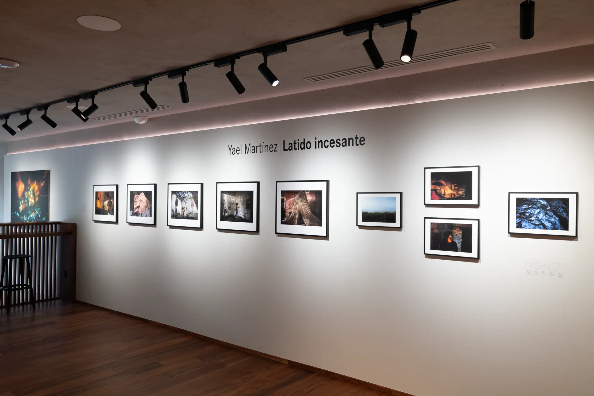 Gallery installation shot