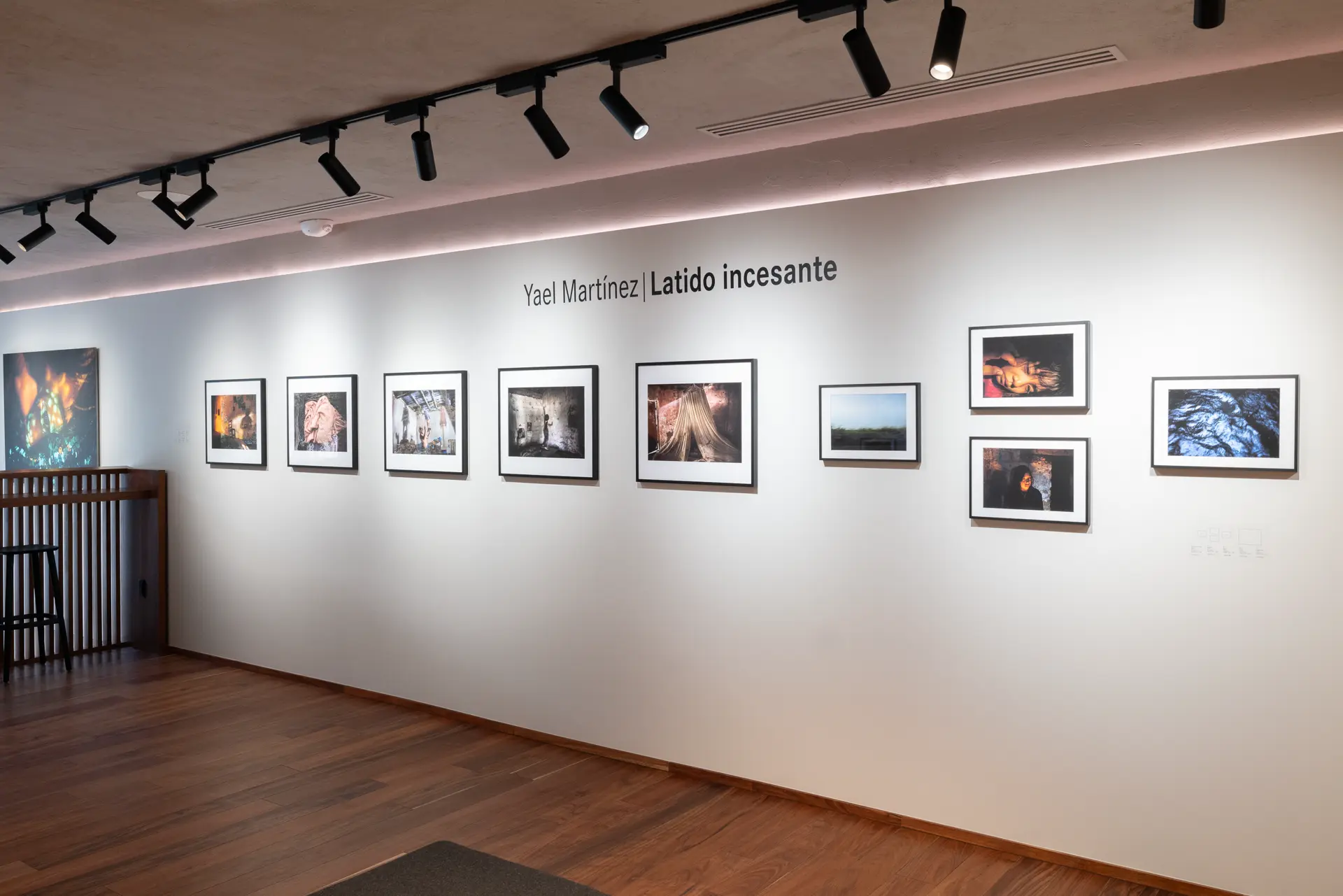 Gallery installation shot