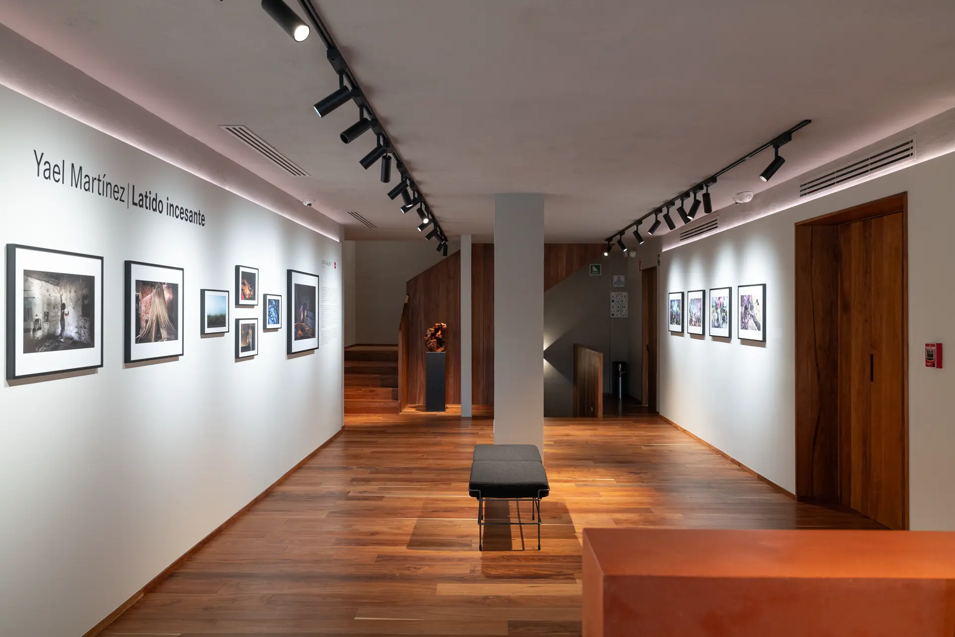 Gallery installation shot