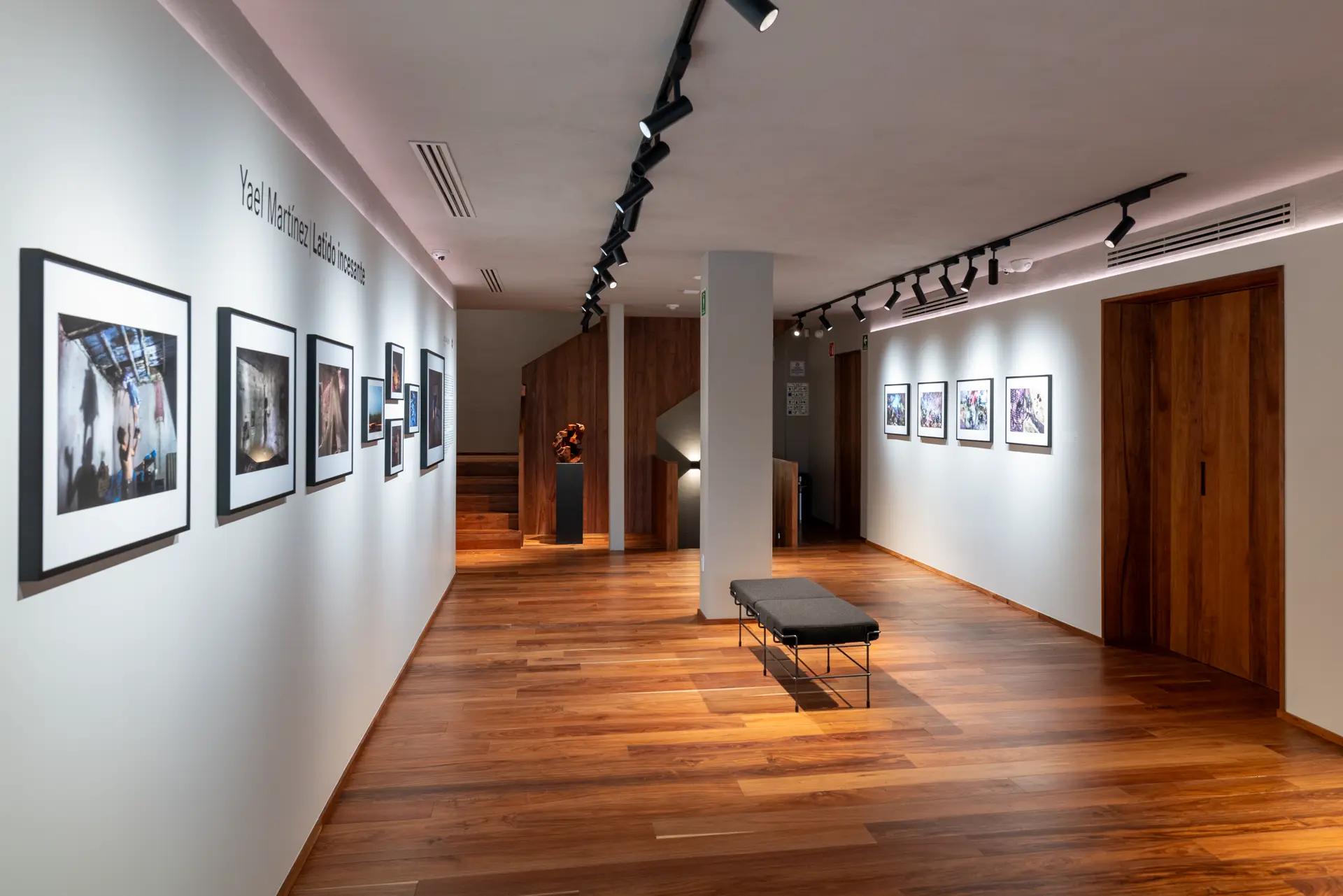 Gallery installation shot