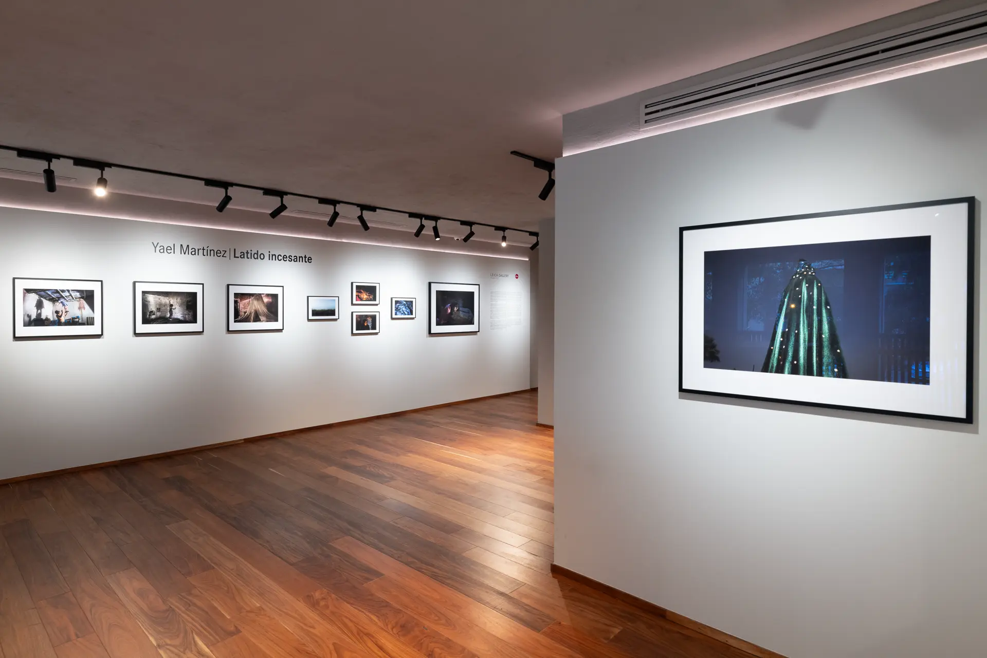 Gallery installation shot