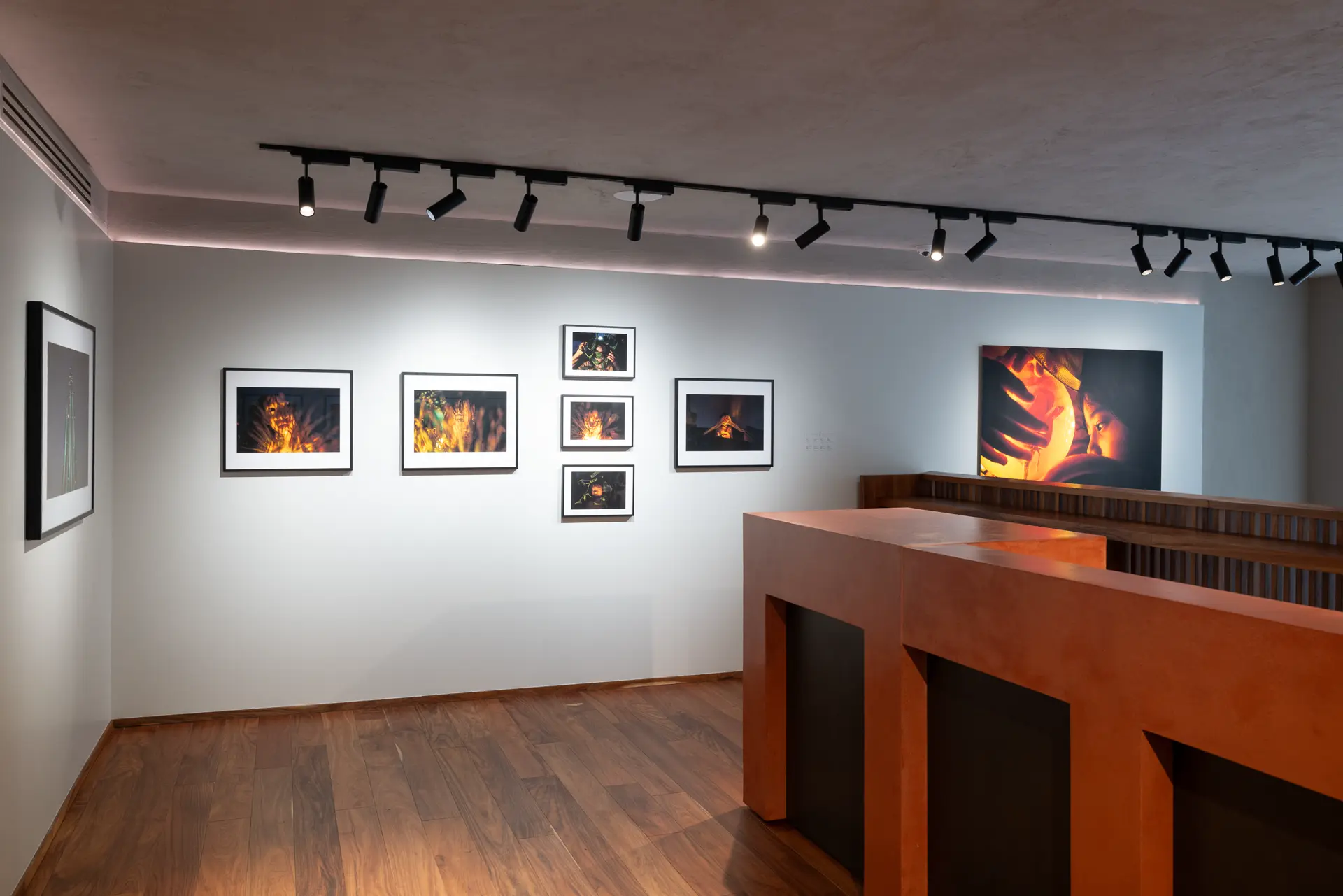 Gallery installation shot