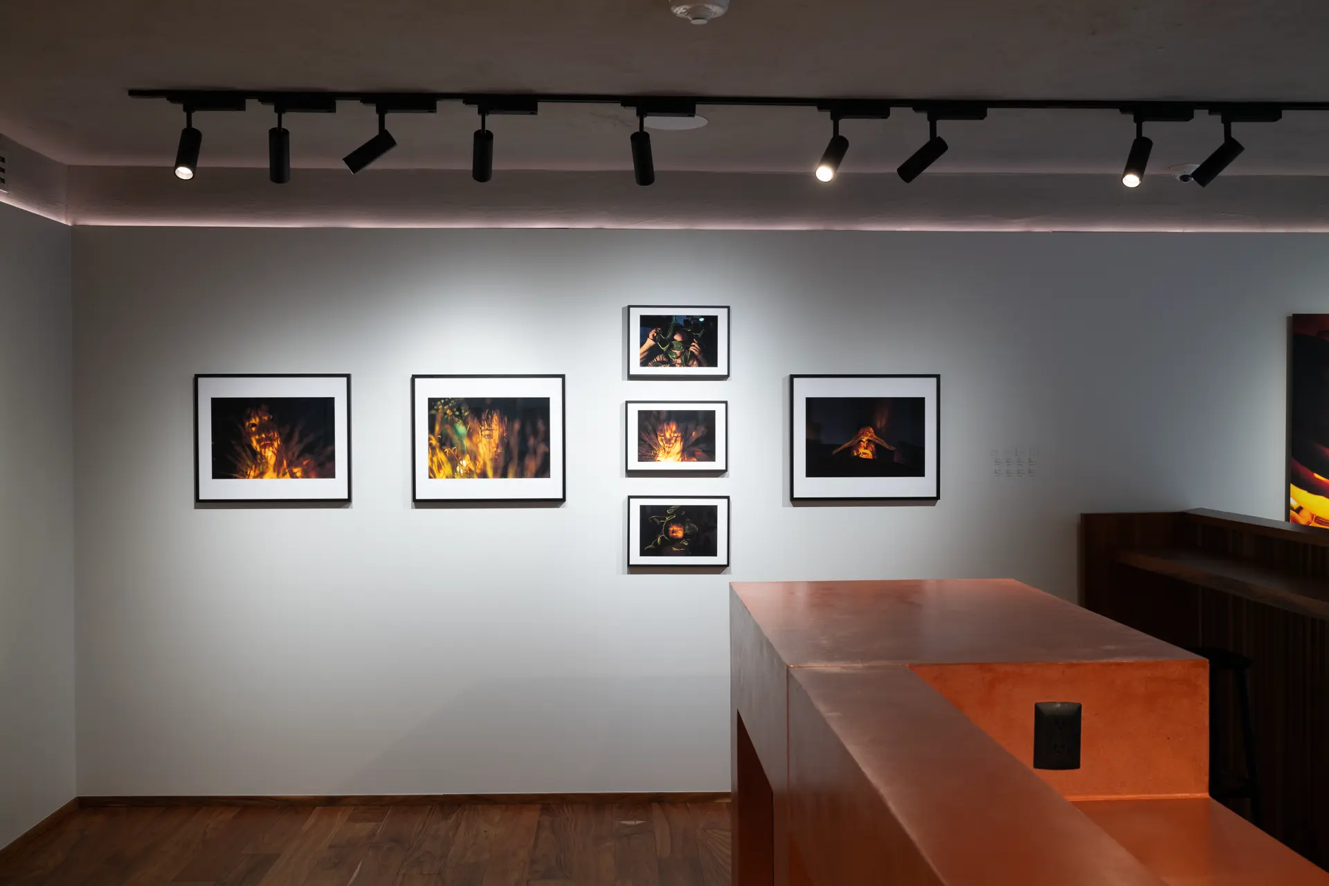 Gallery installation shot