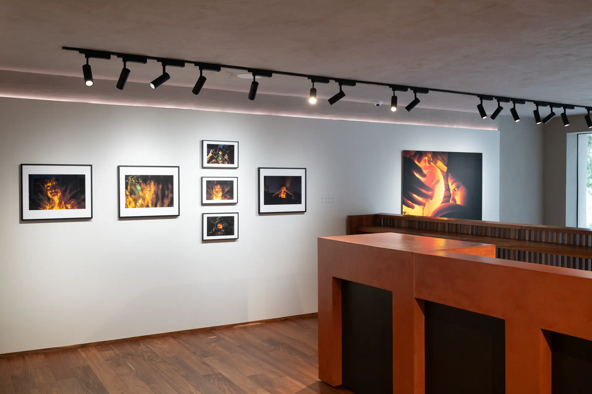 Gallery installation shot