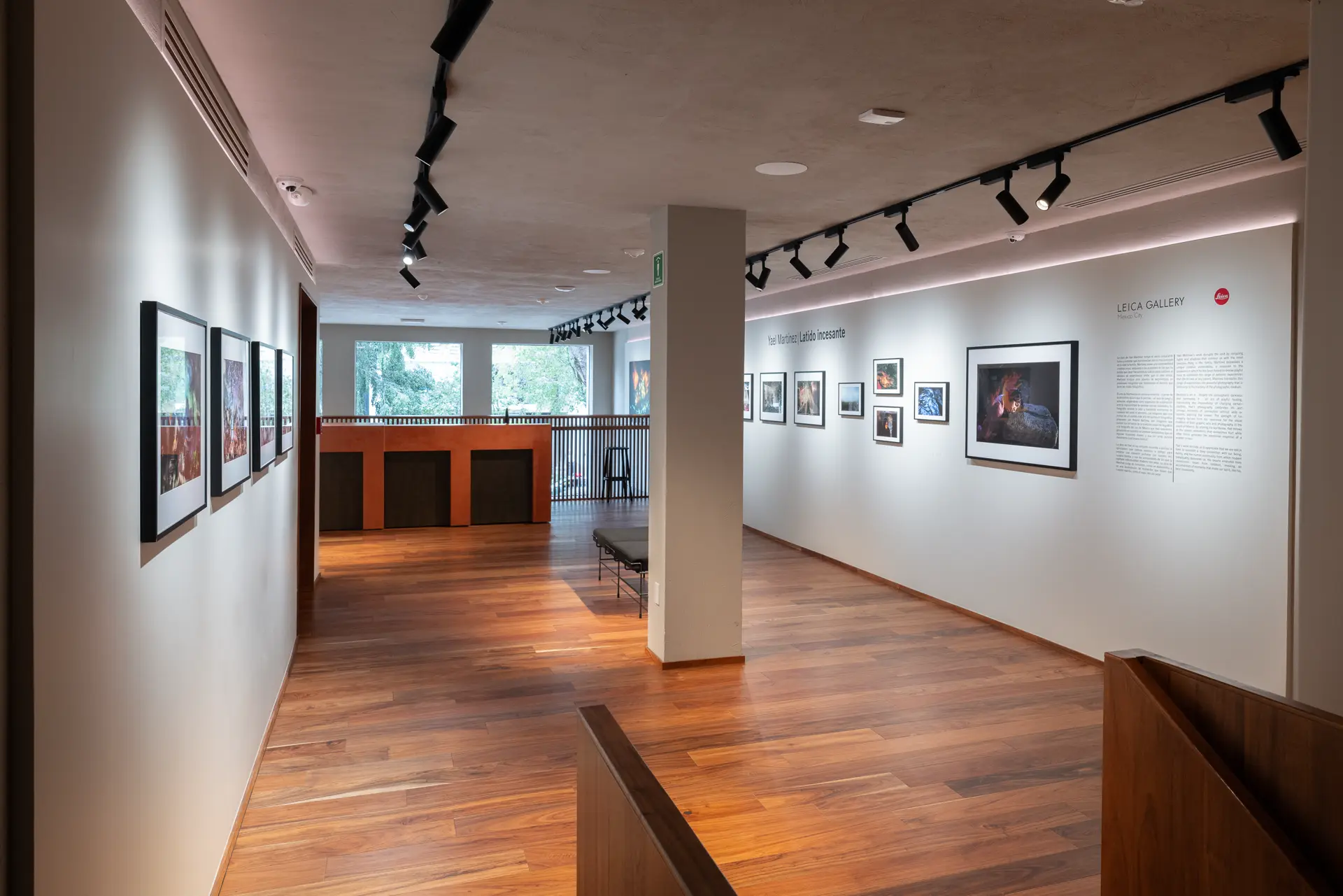 Gallery installation shot