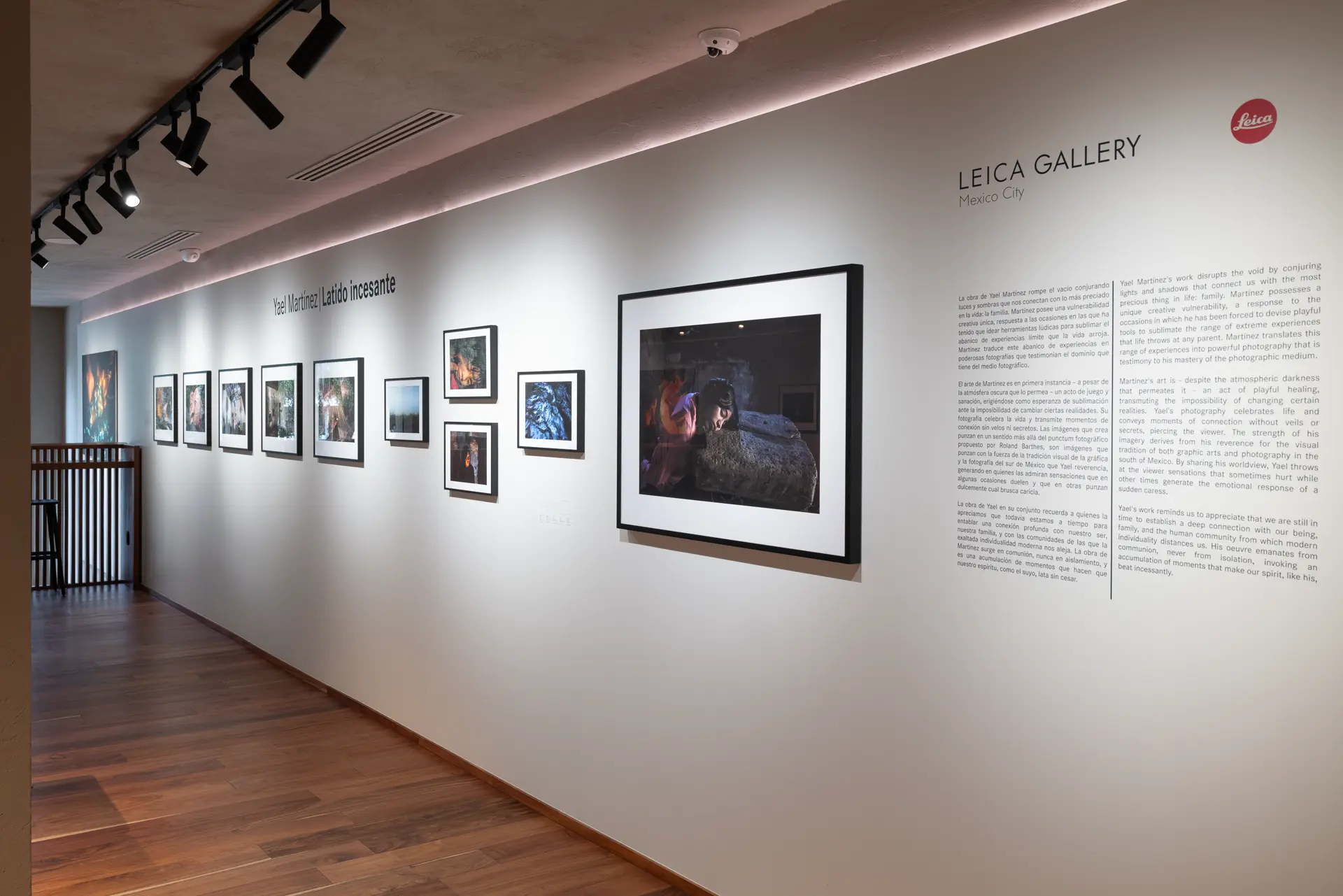 Gallery installation shot
