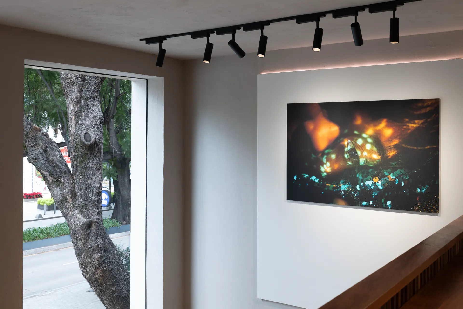 Gallery installation shot
