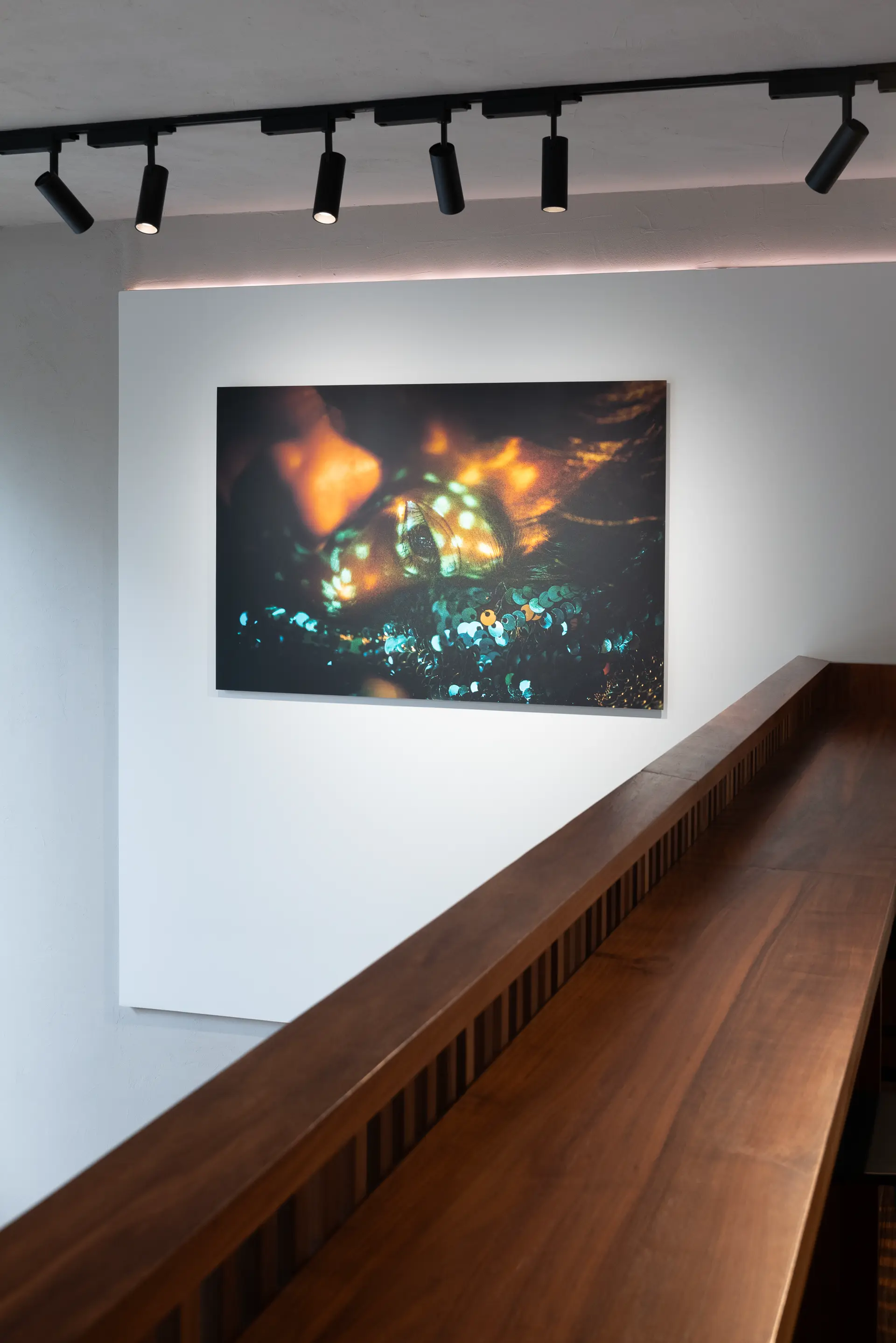 Gallery installation shot