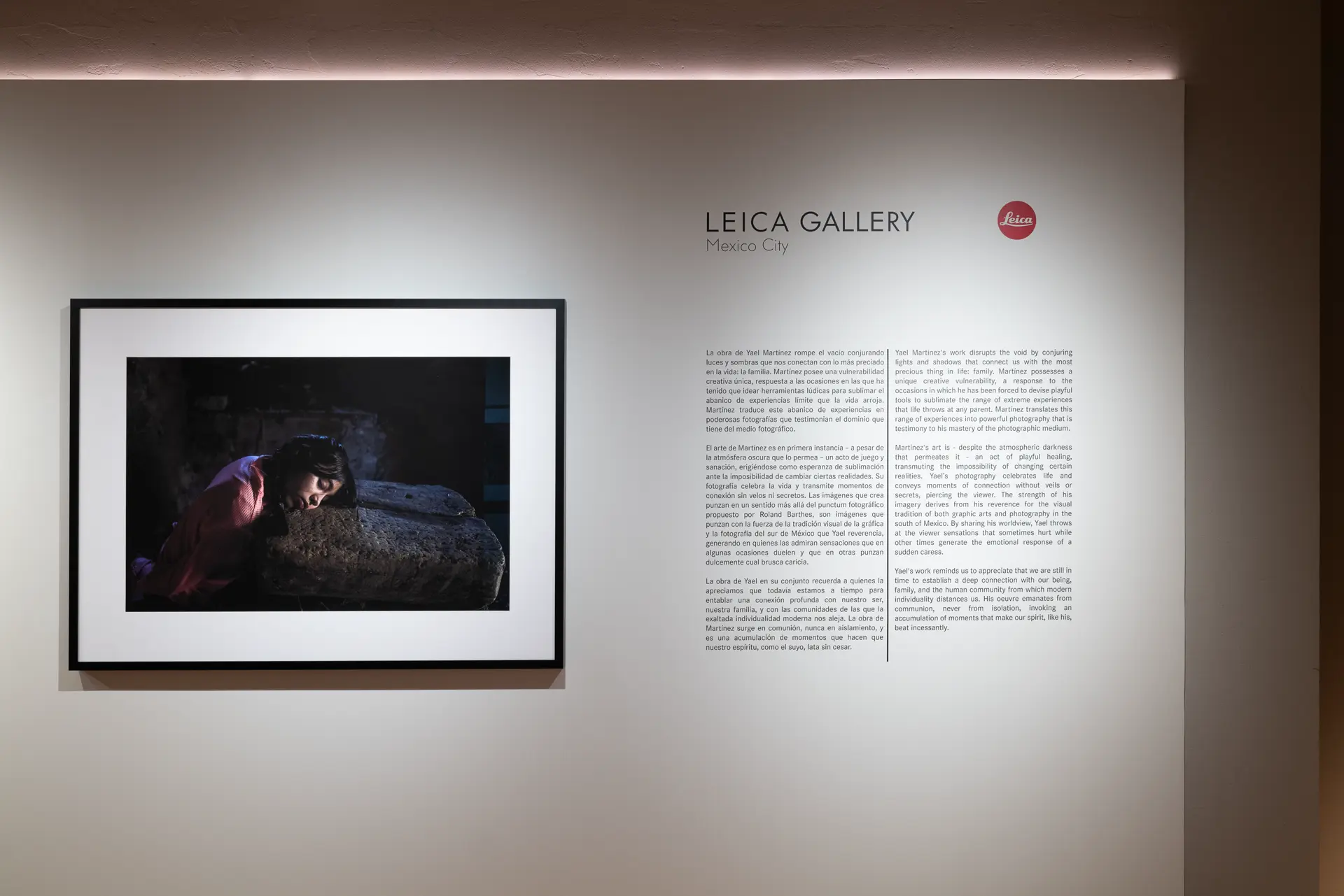 Gallery installation shot