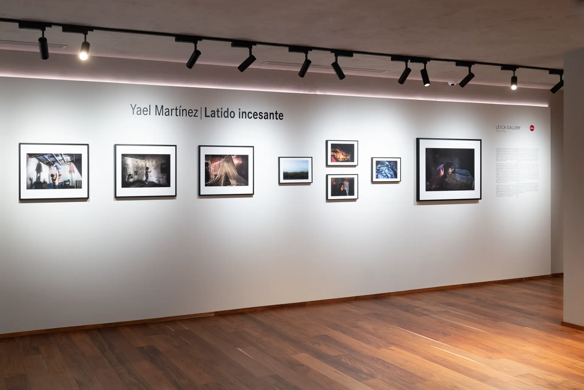 Gallery installation shot