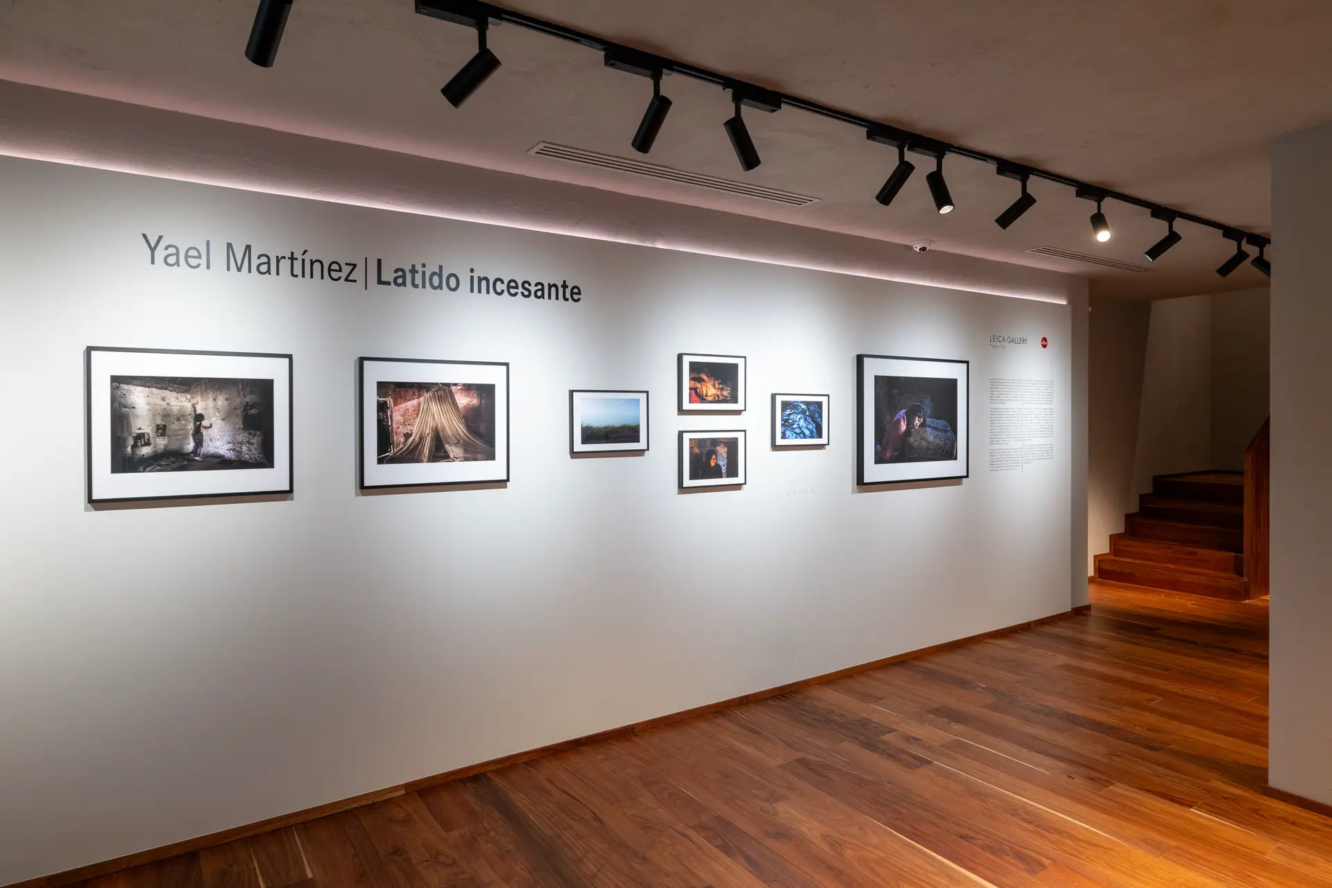 Gallery installation shot