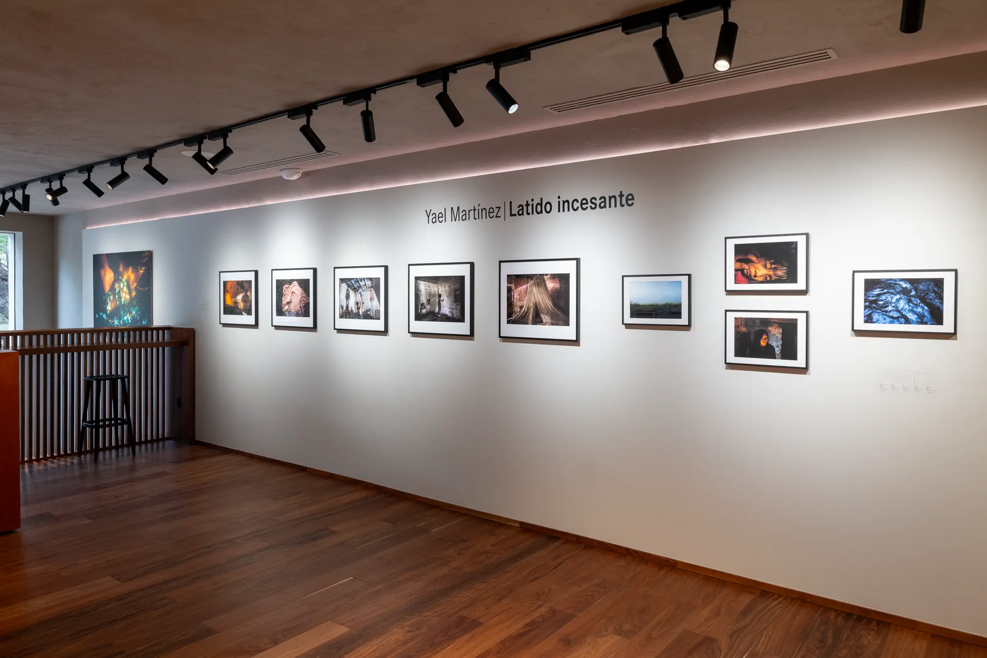Gallery installation shot