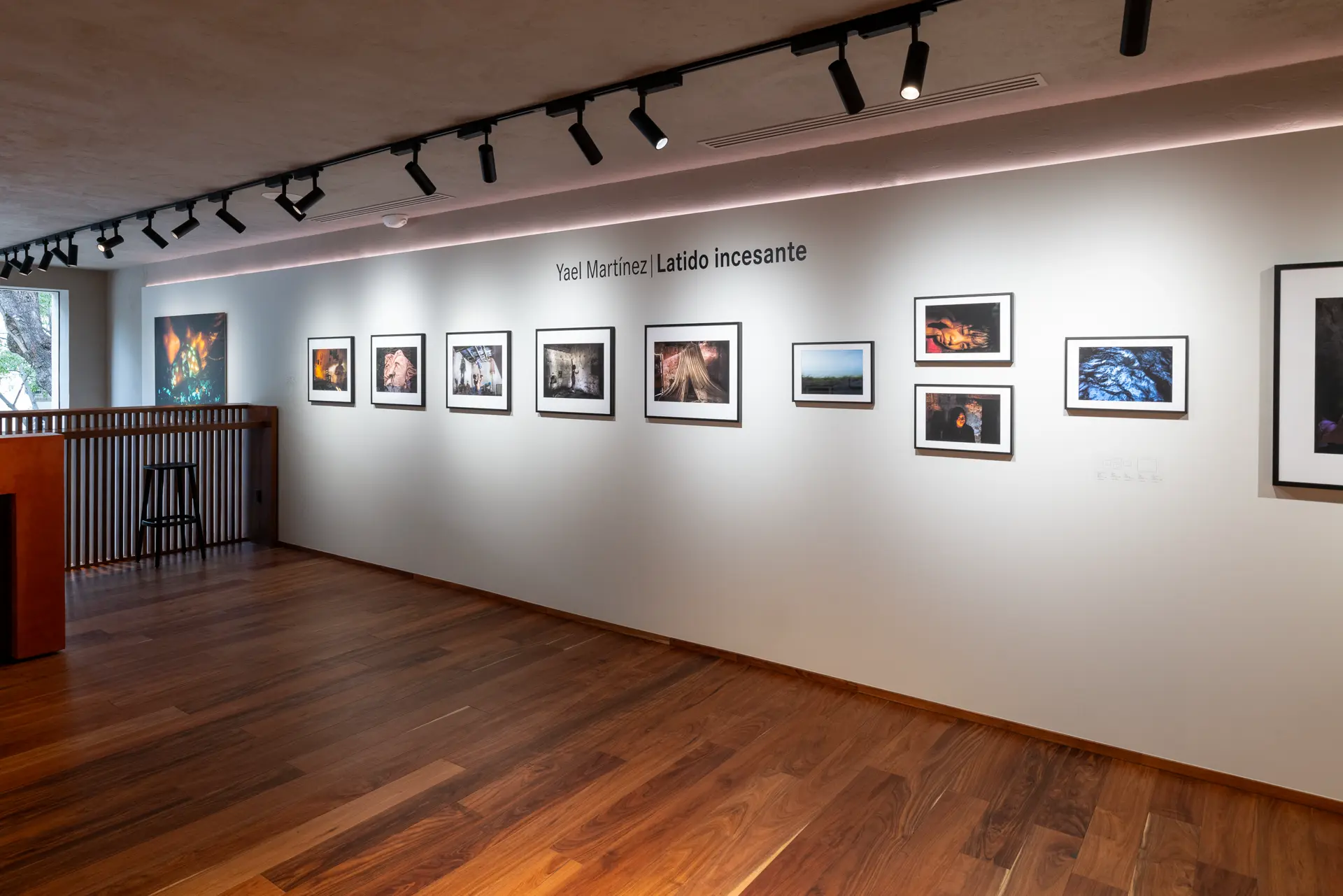 Gallery installation shot