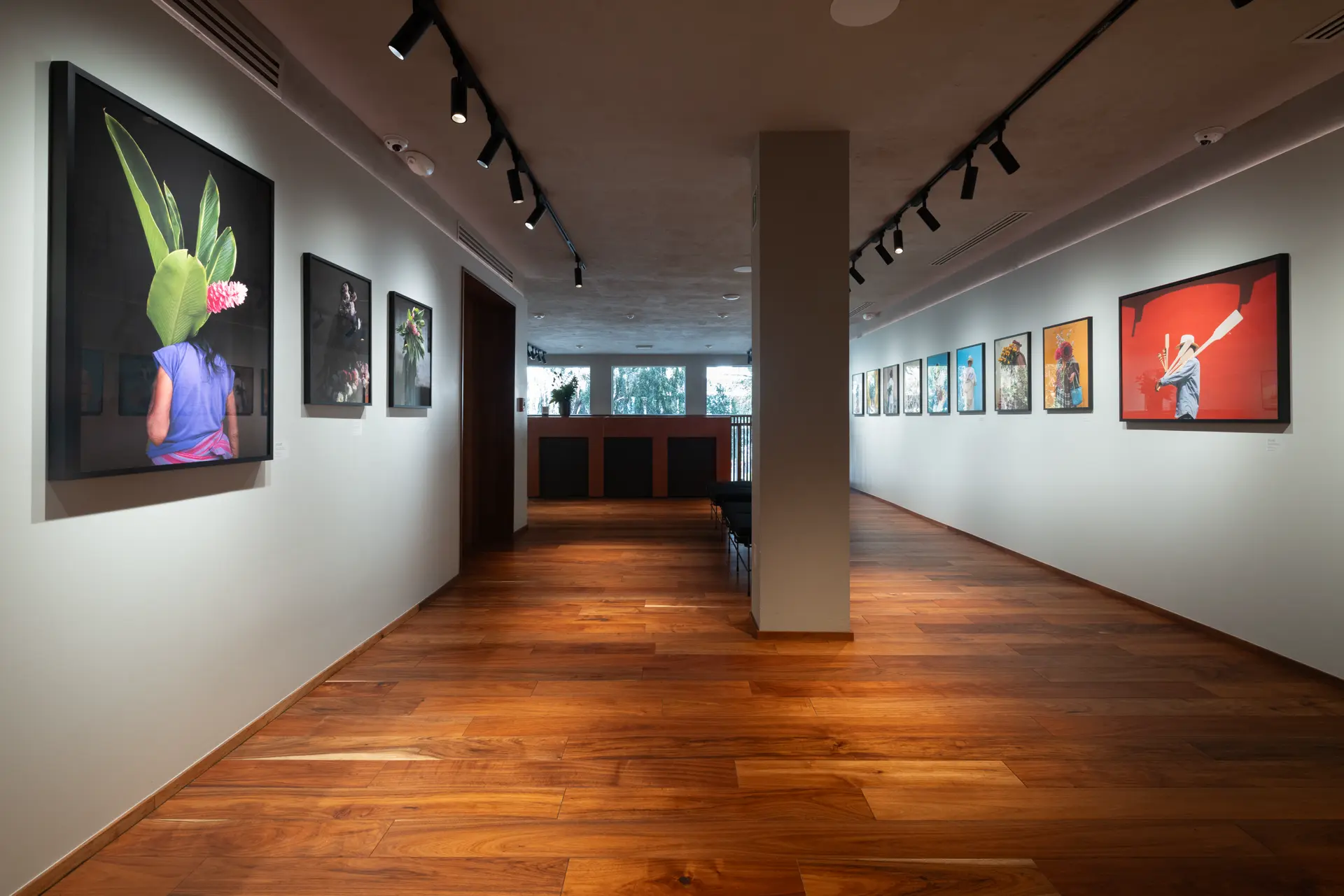 Gallery installation shot