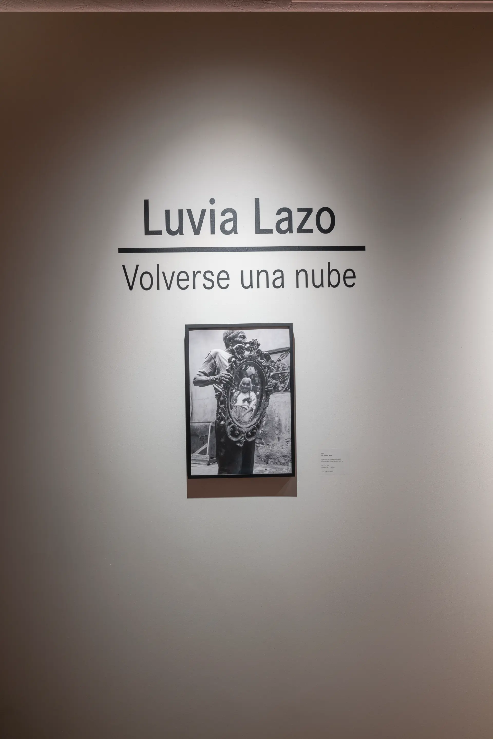 Gallery installation shot
