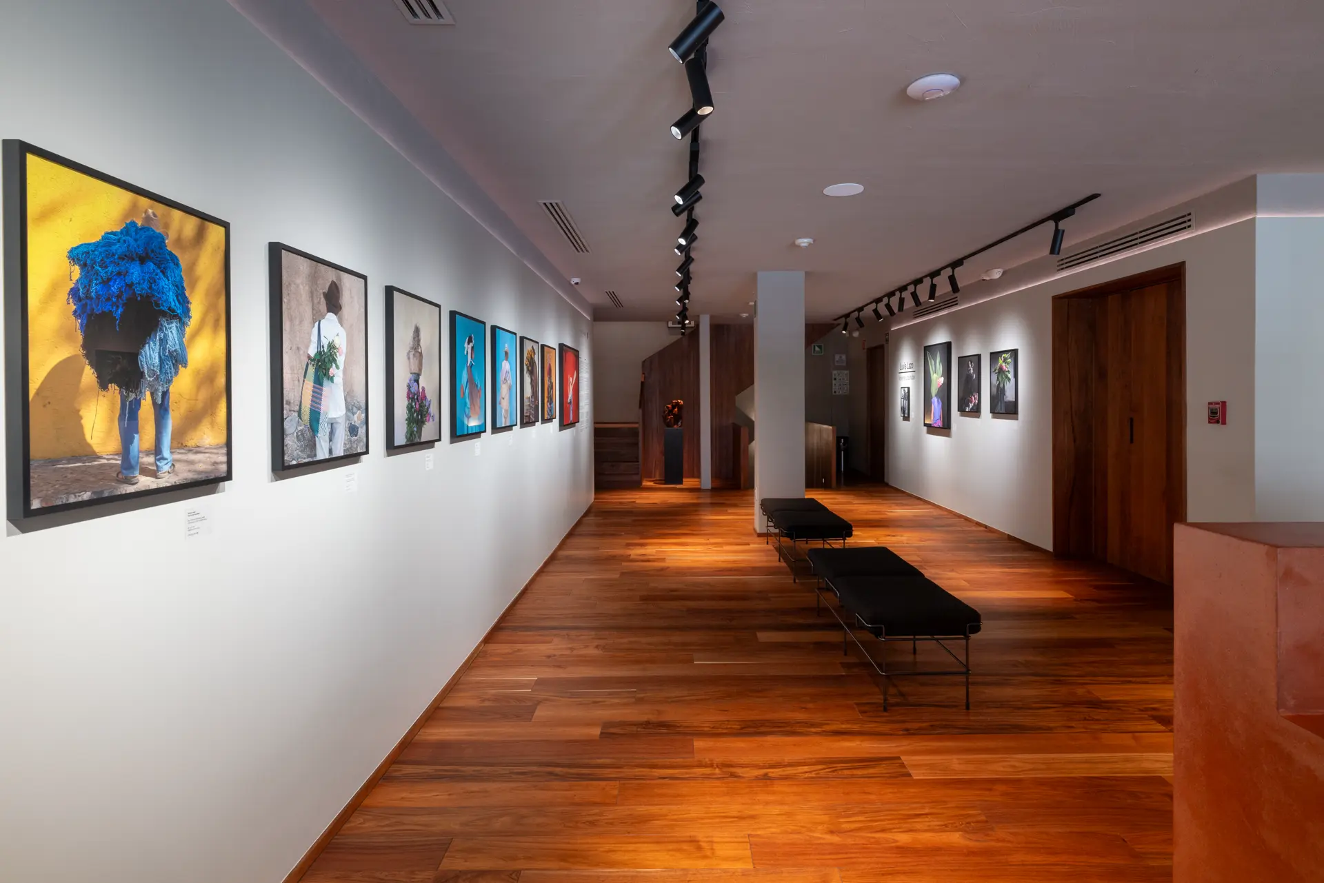 Gallery installation shot