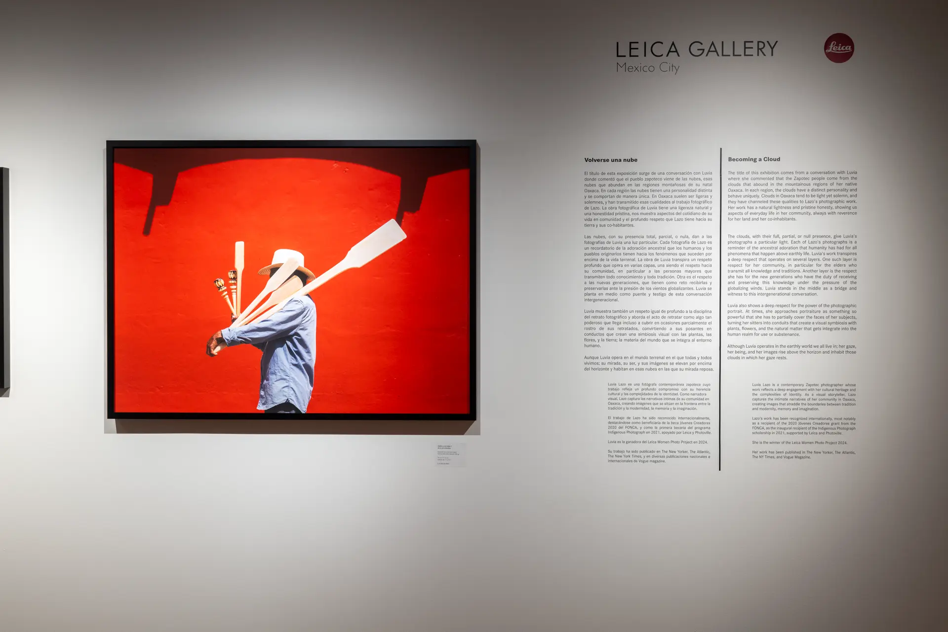 Gallery installation shot