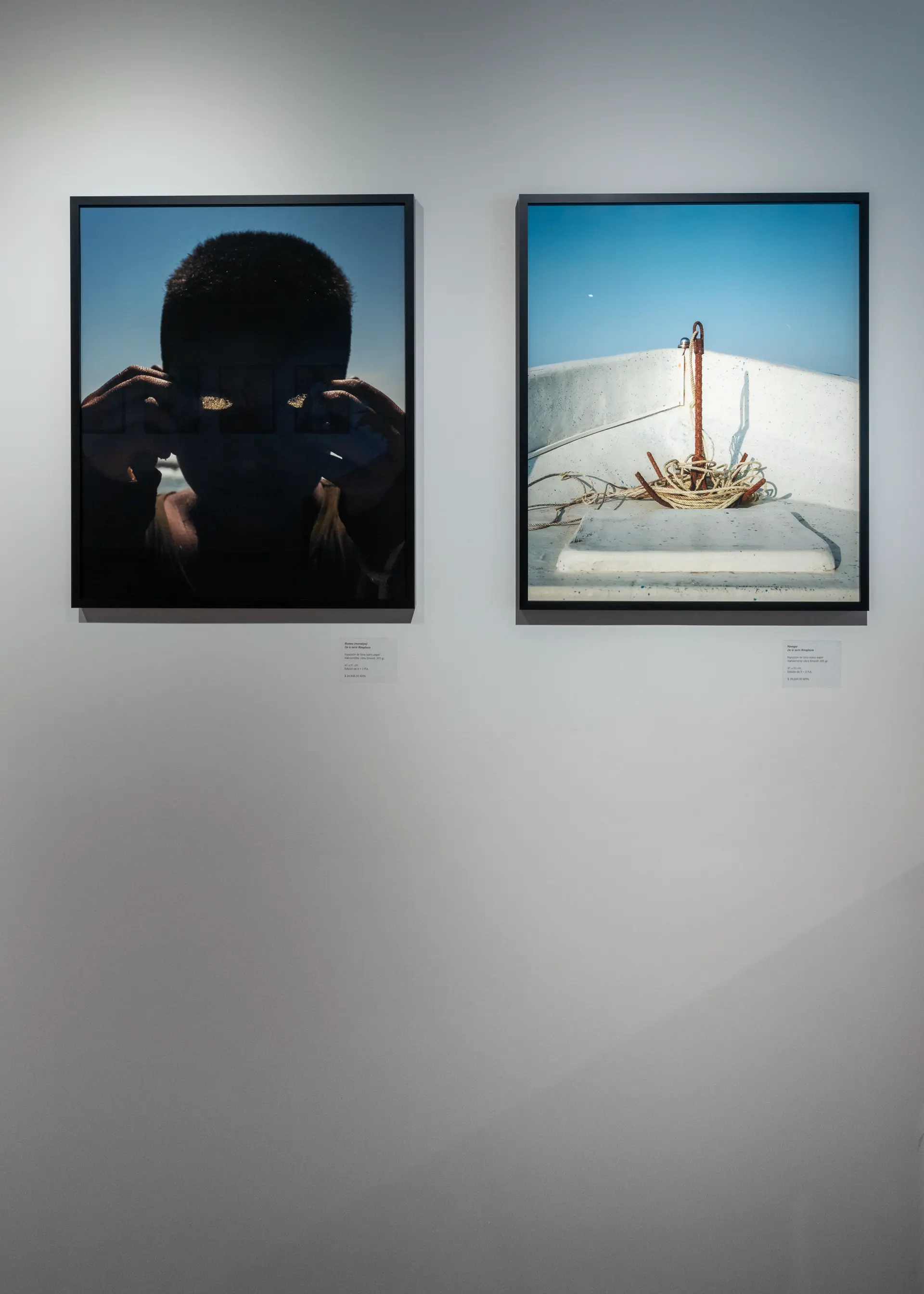 Gallery installation shot