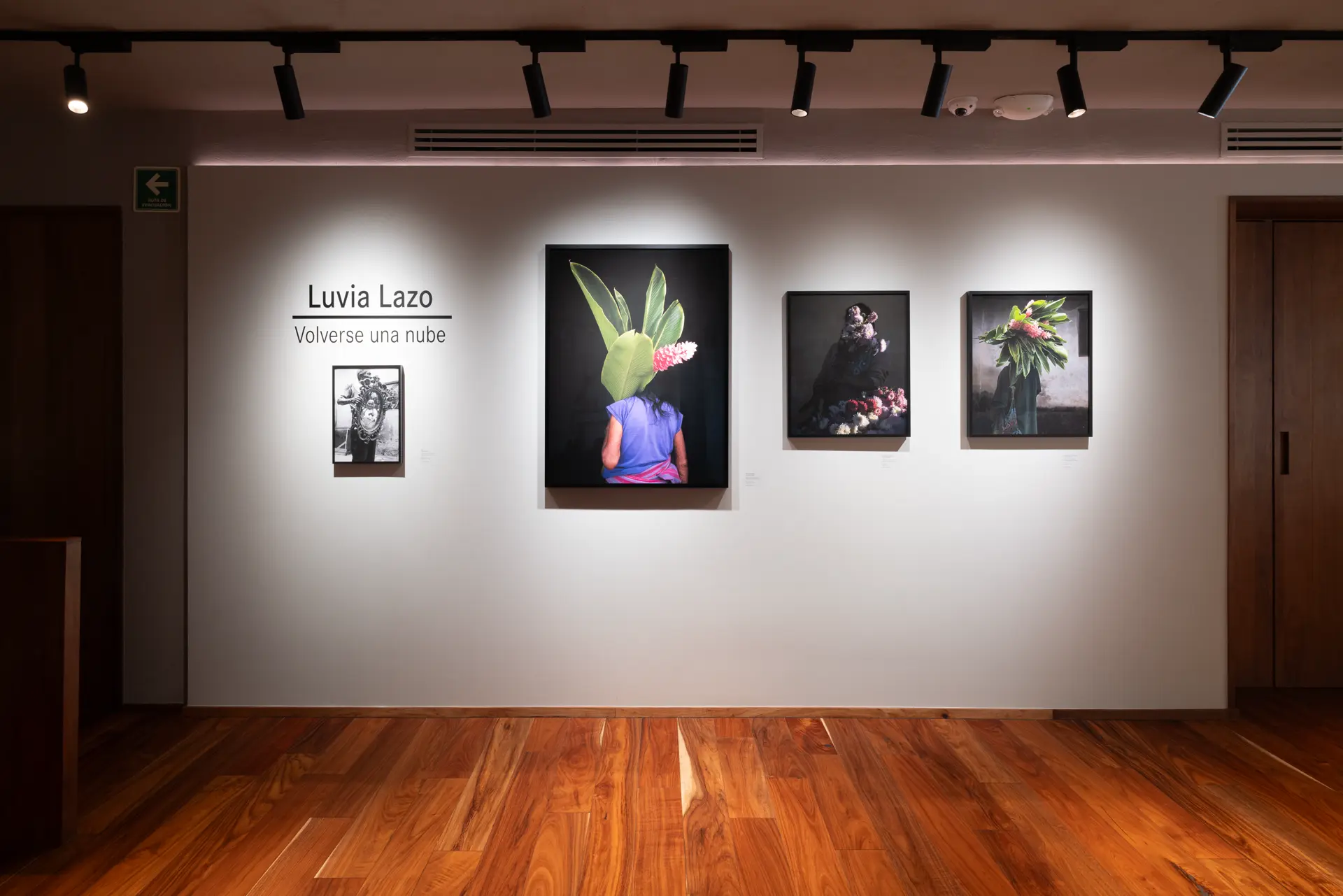 Gallery installation shot