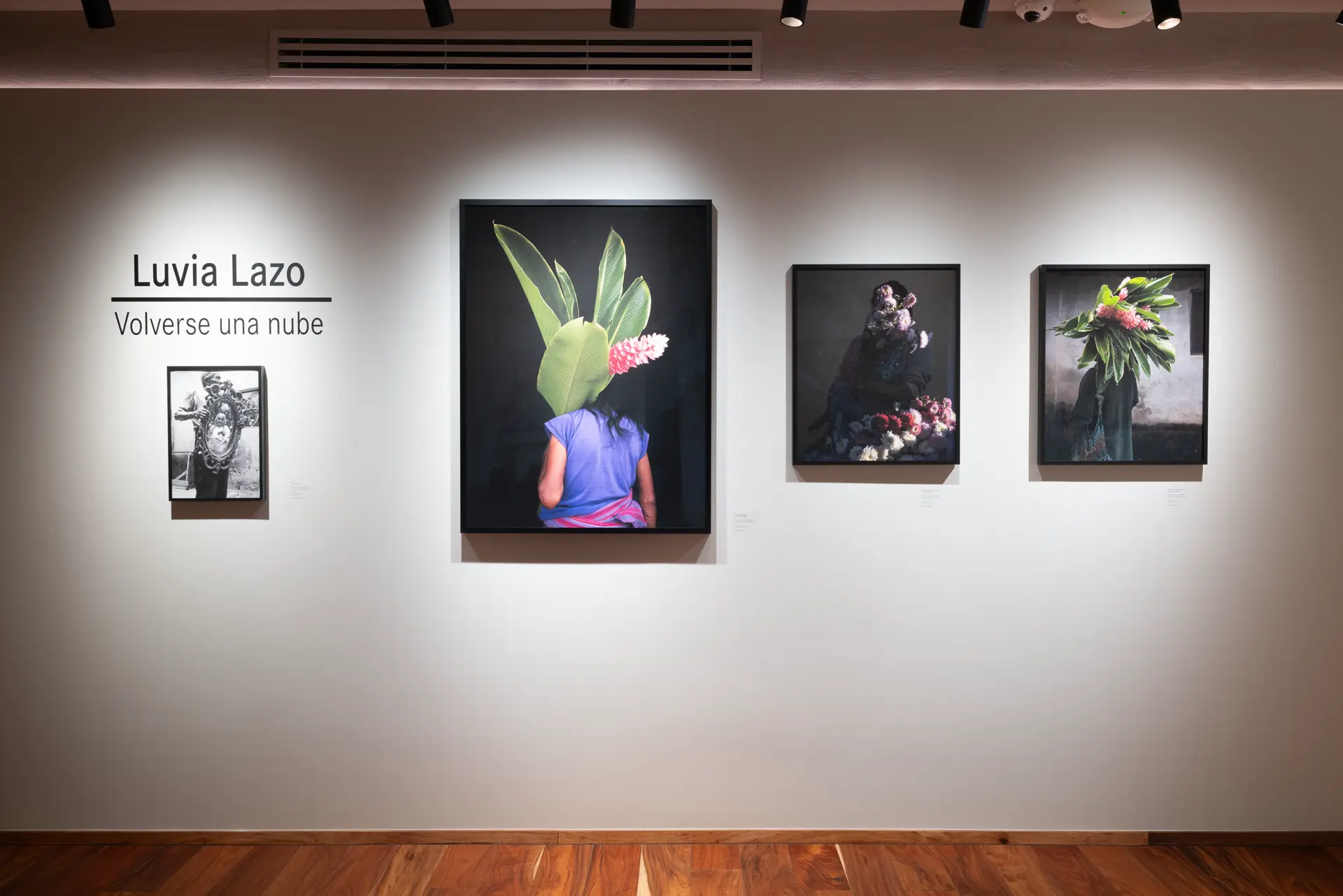 Gallery installation shot