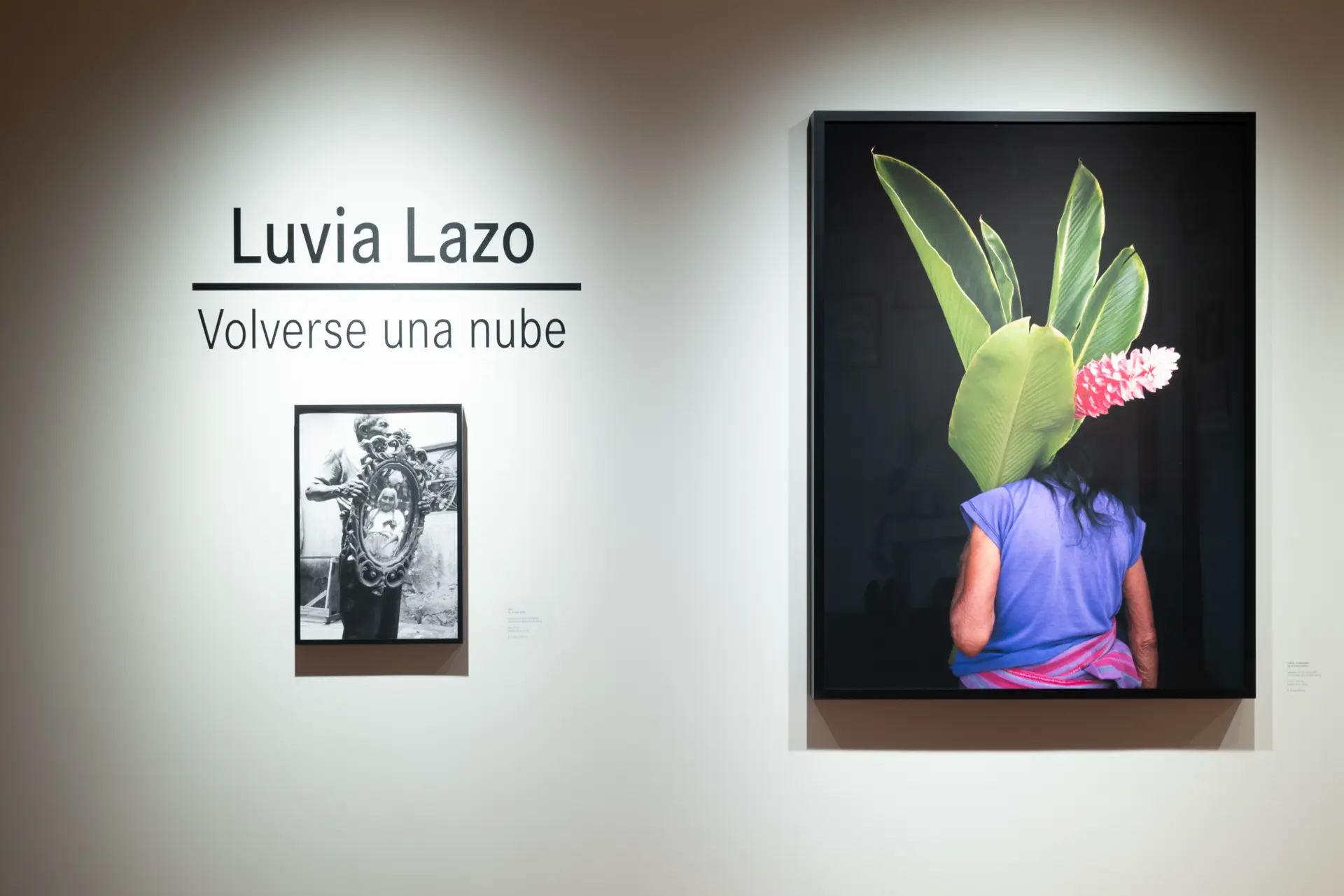 Gallery installation shot