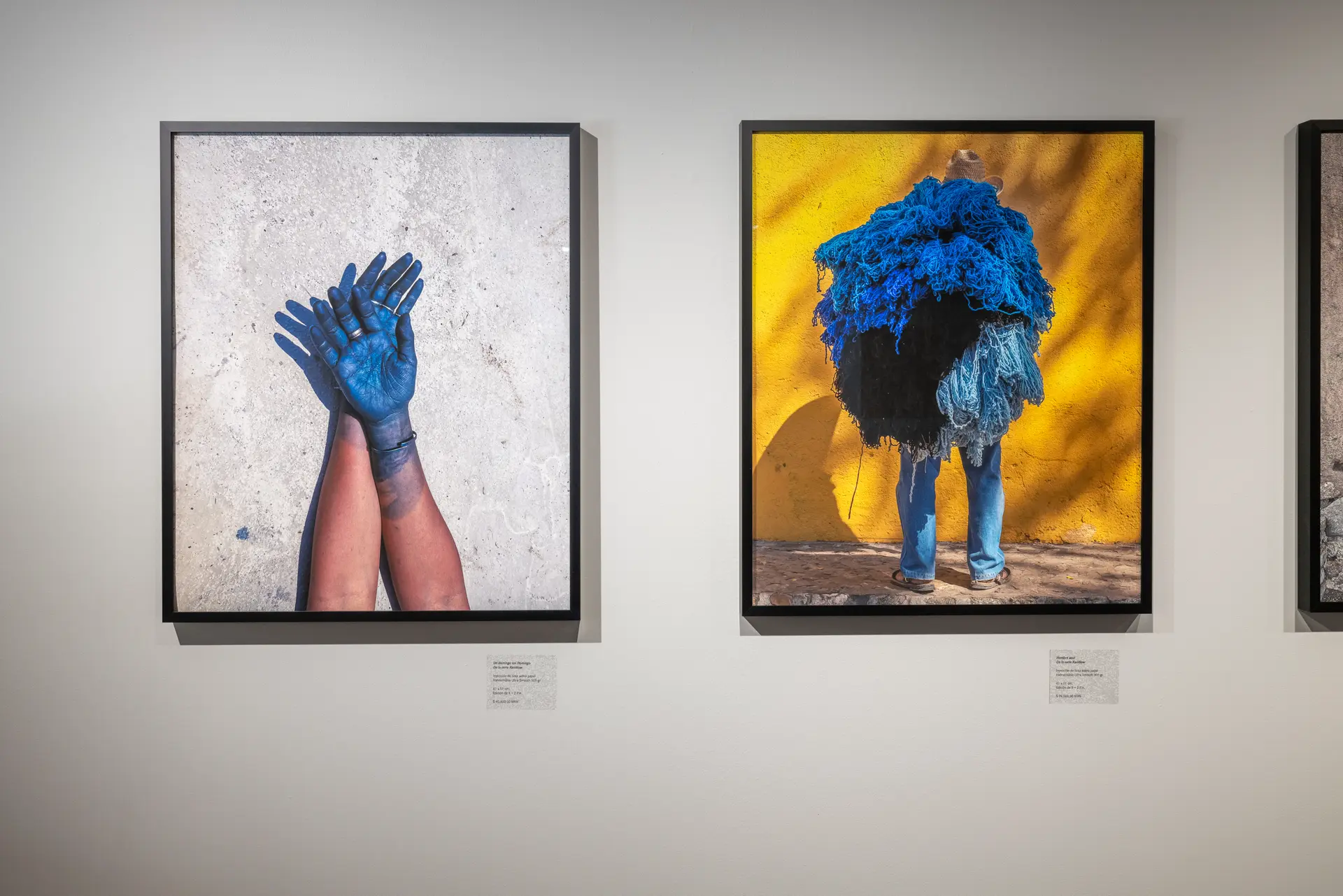Gallery installation shot