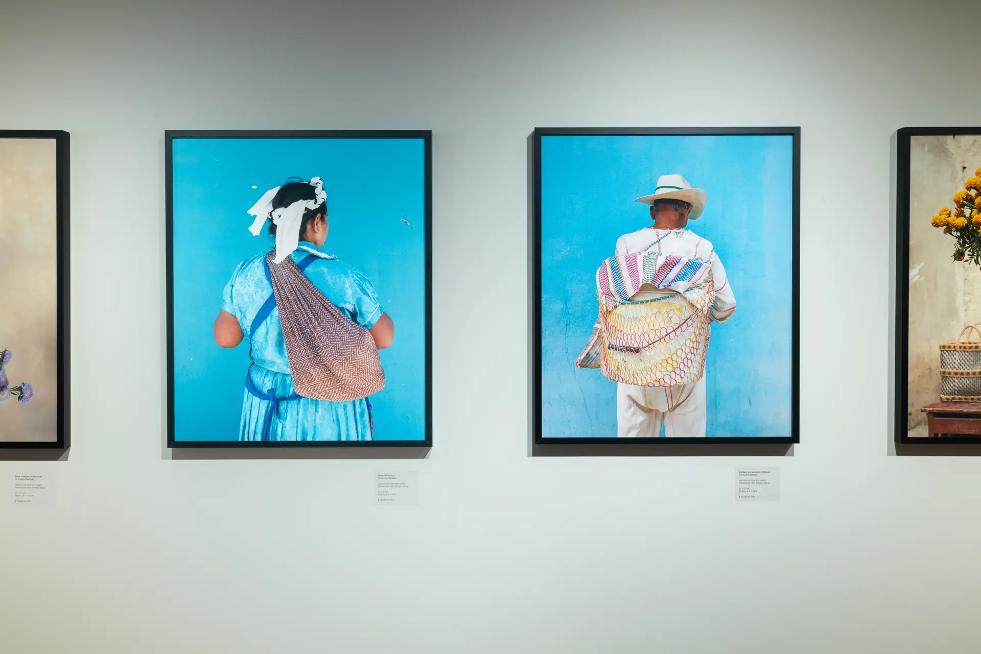 Gallery installation shot