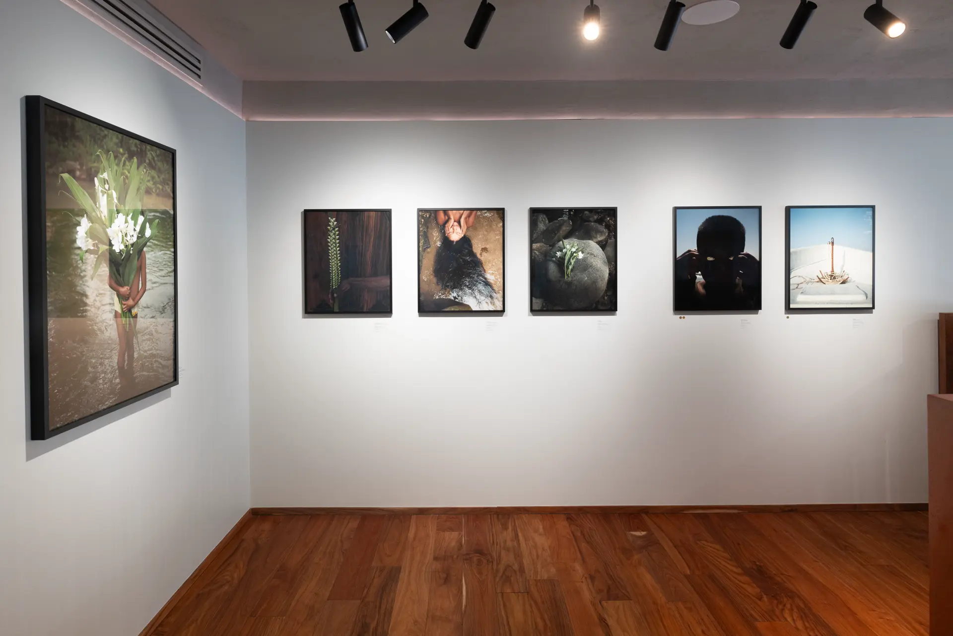 Gallery installation shot