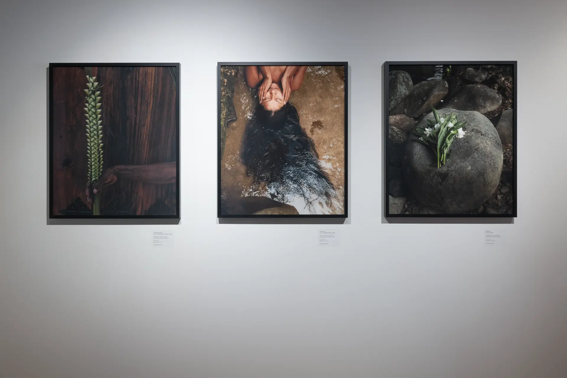 Gallery installation shot