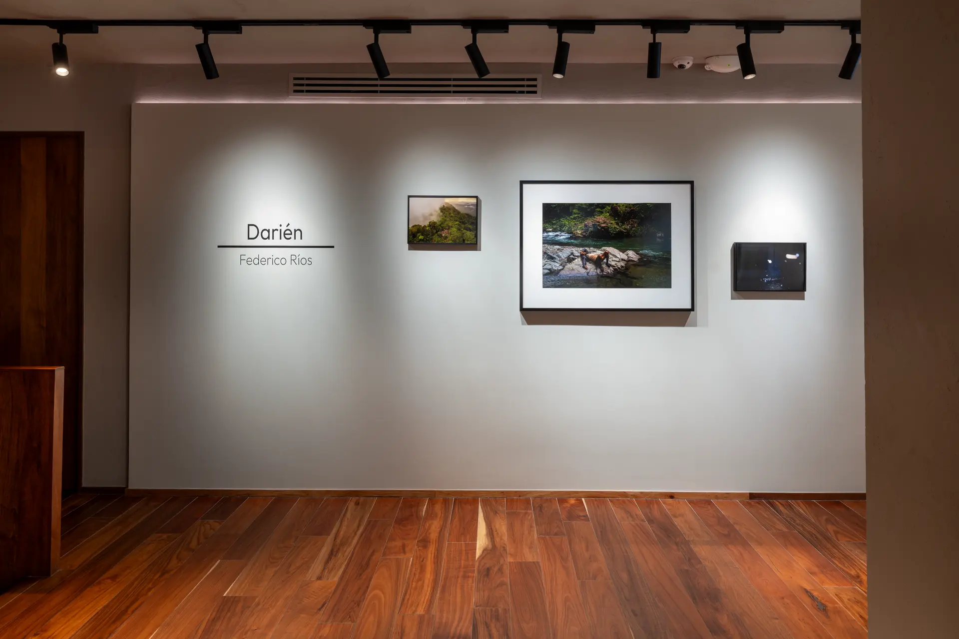 Gallery installation shot