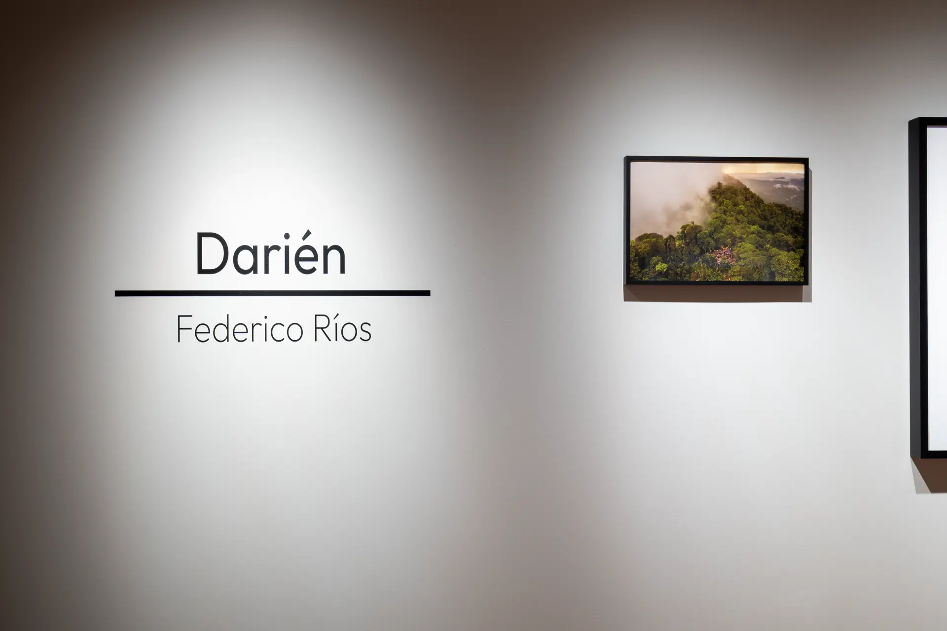 Gallery installation shot