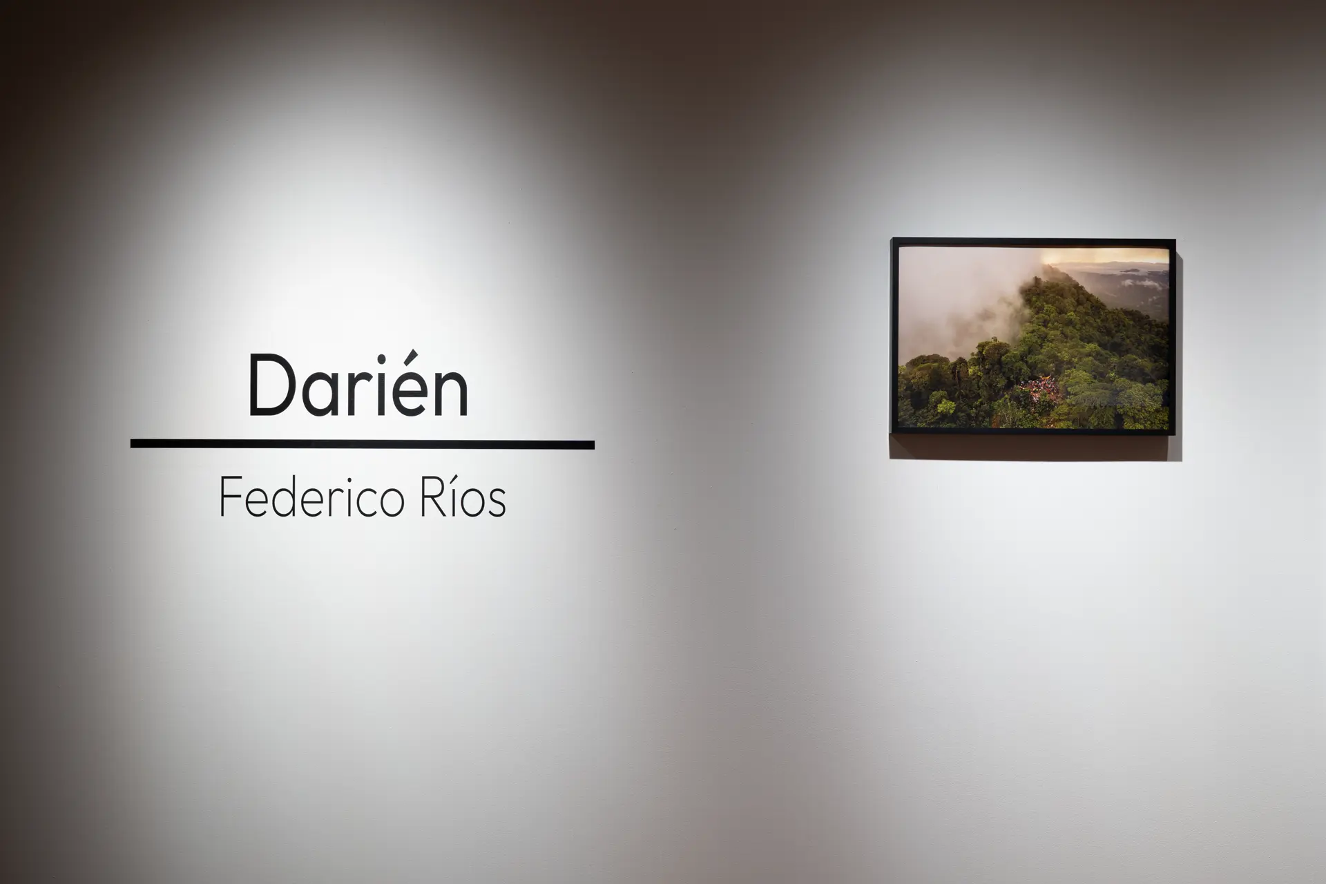 Gallery installation shot