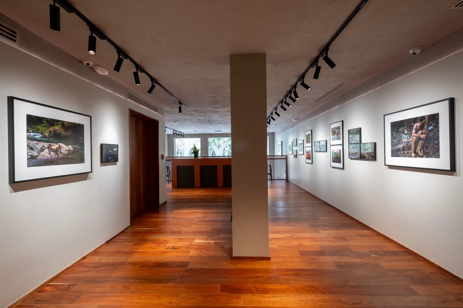 Gallery installation shot