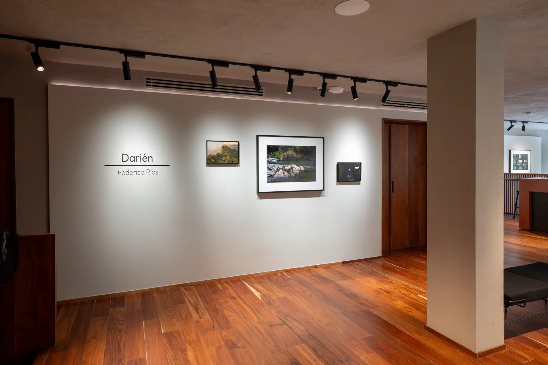 Gallery installation shot
