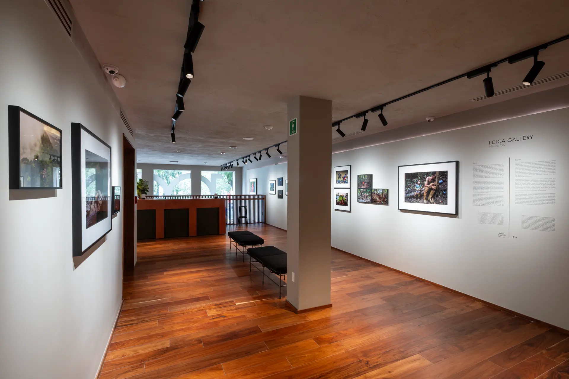 Gallery installation shot
