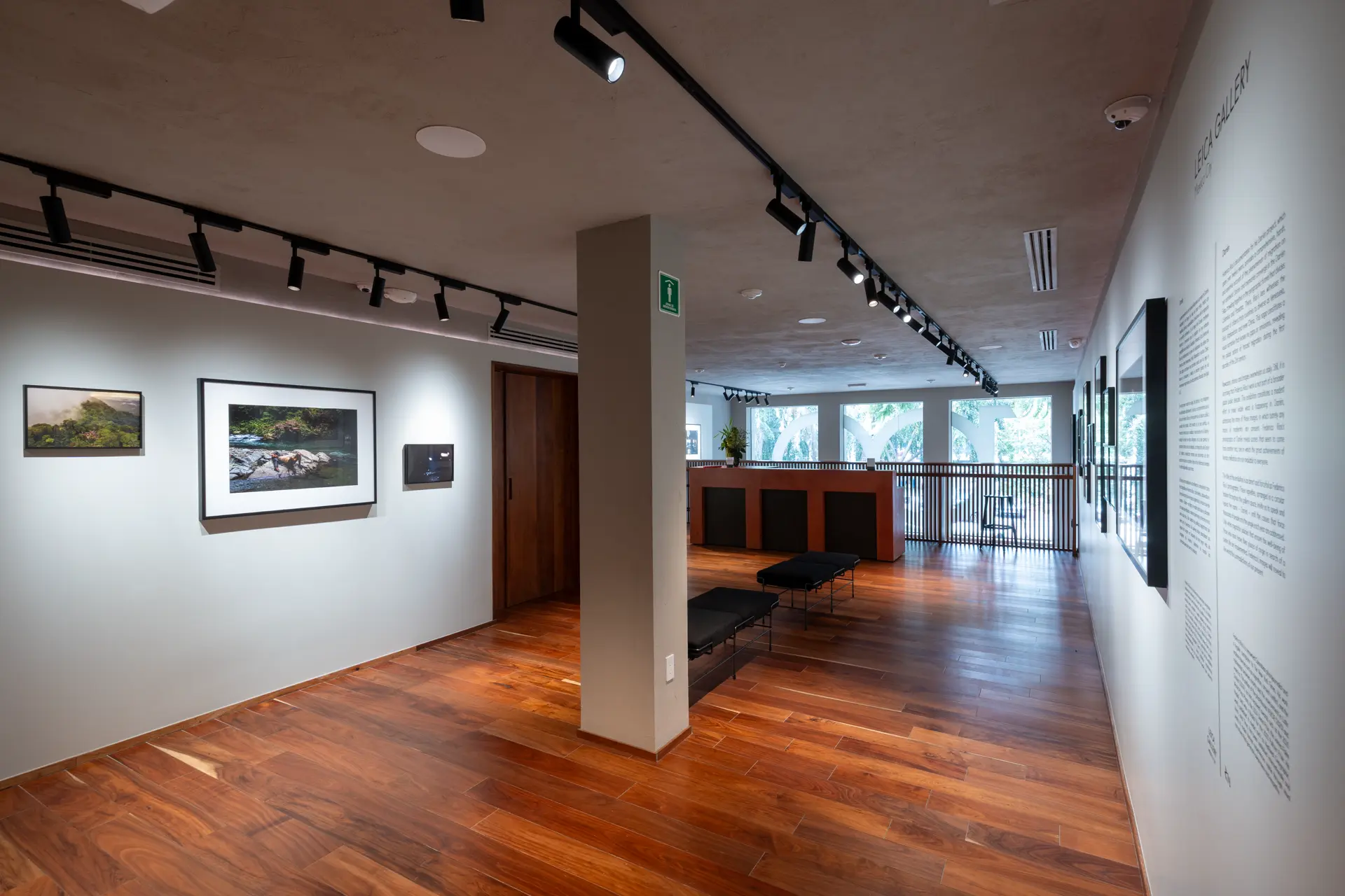 Gallery installation shot