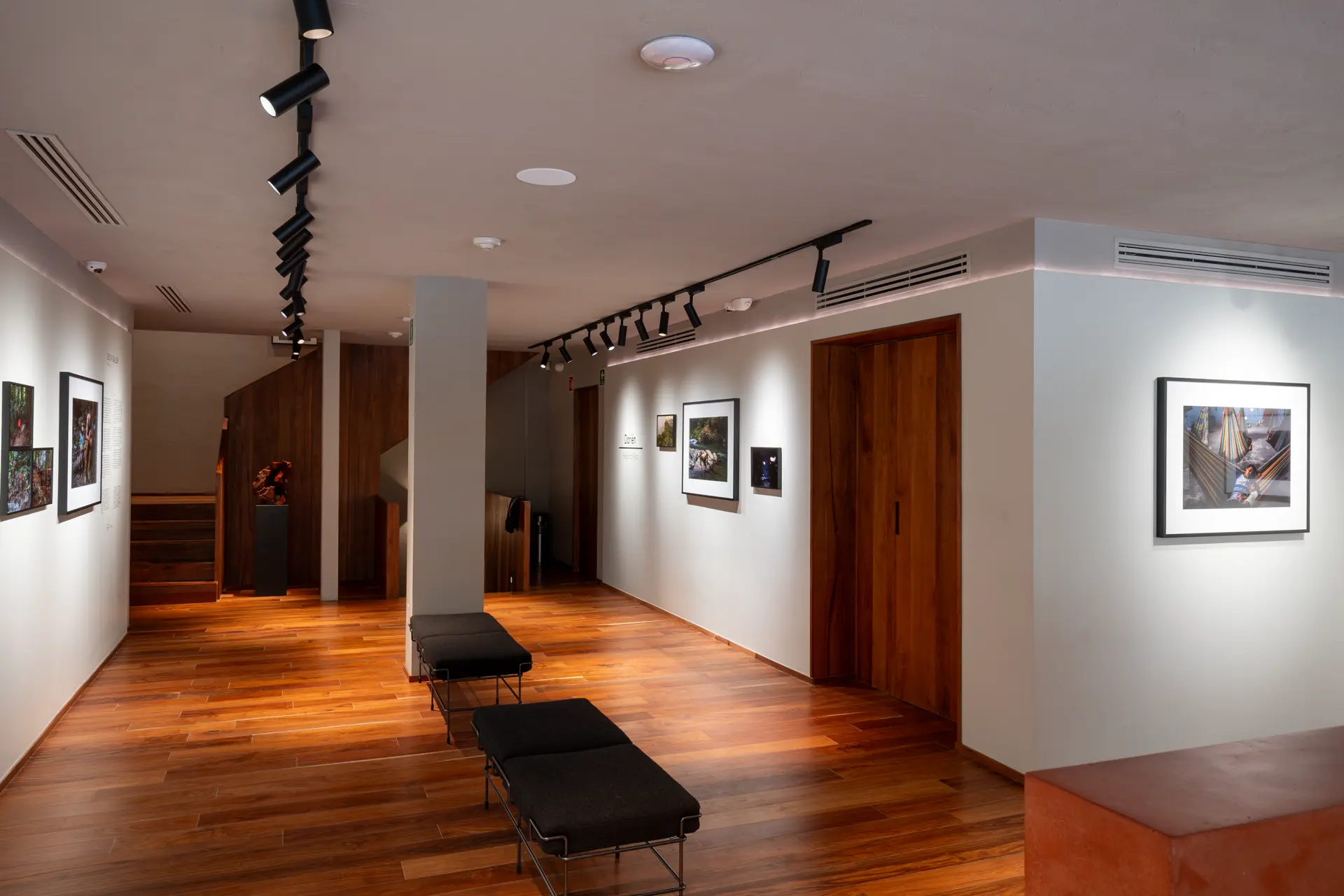 Gallery installation shot