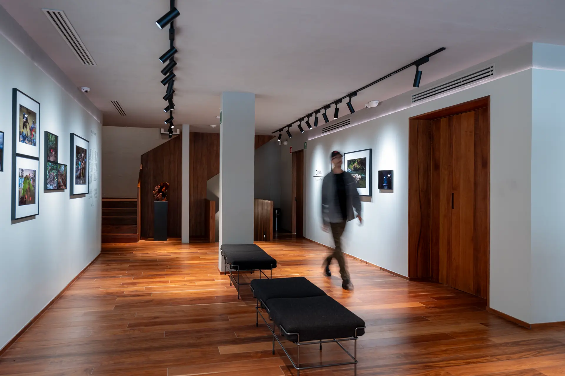 Gallery installation shot