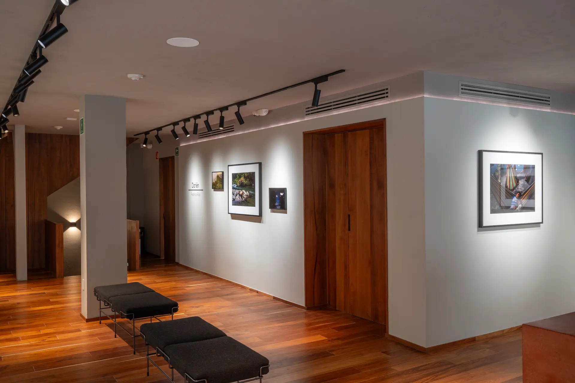 Gallery installation shot