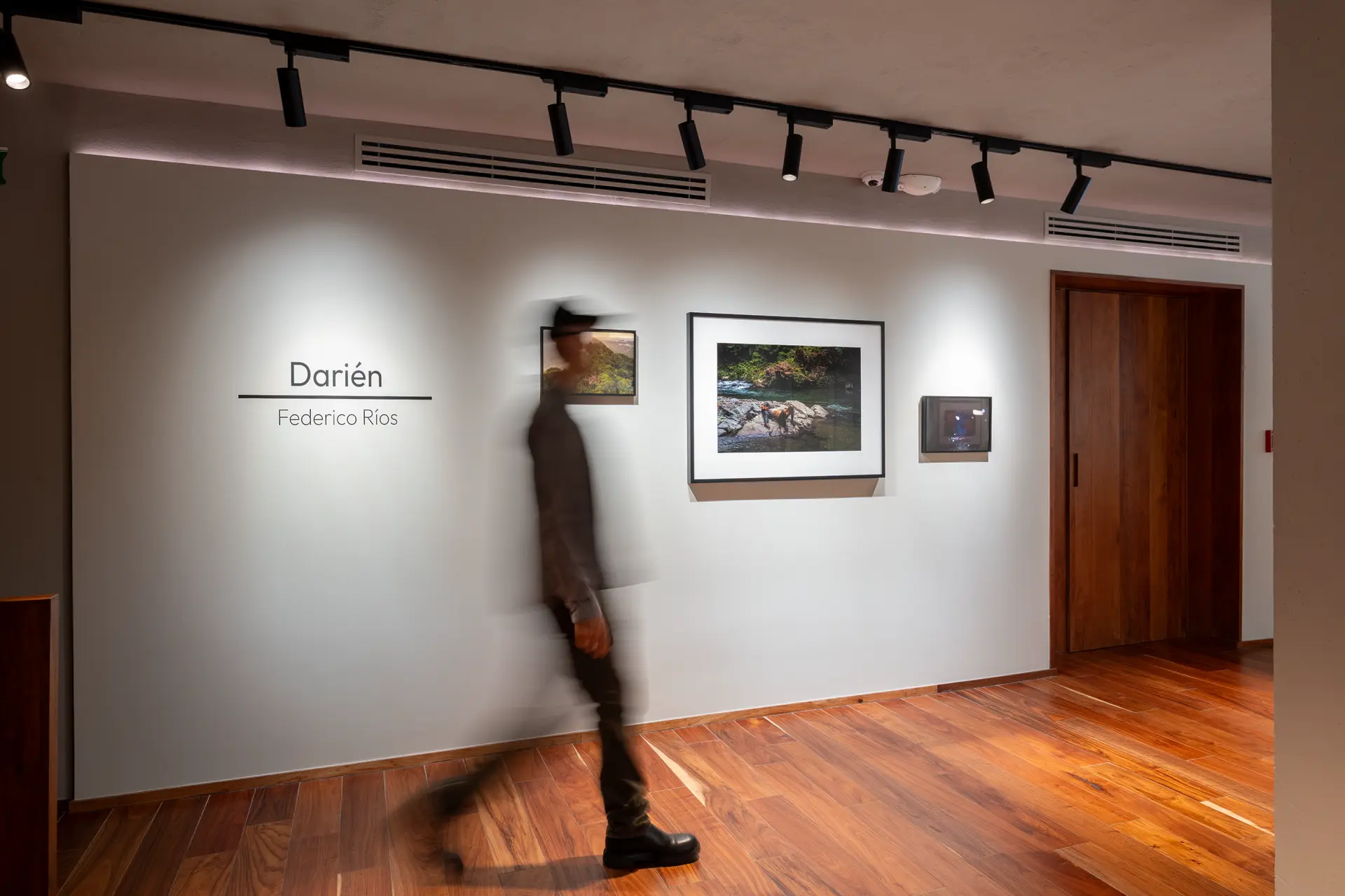 Gallery installation shot