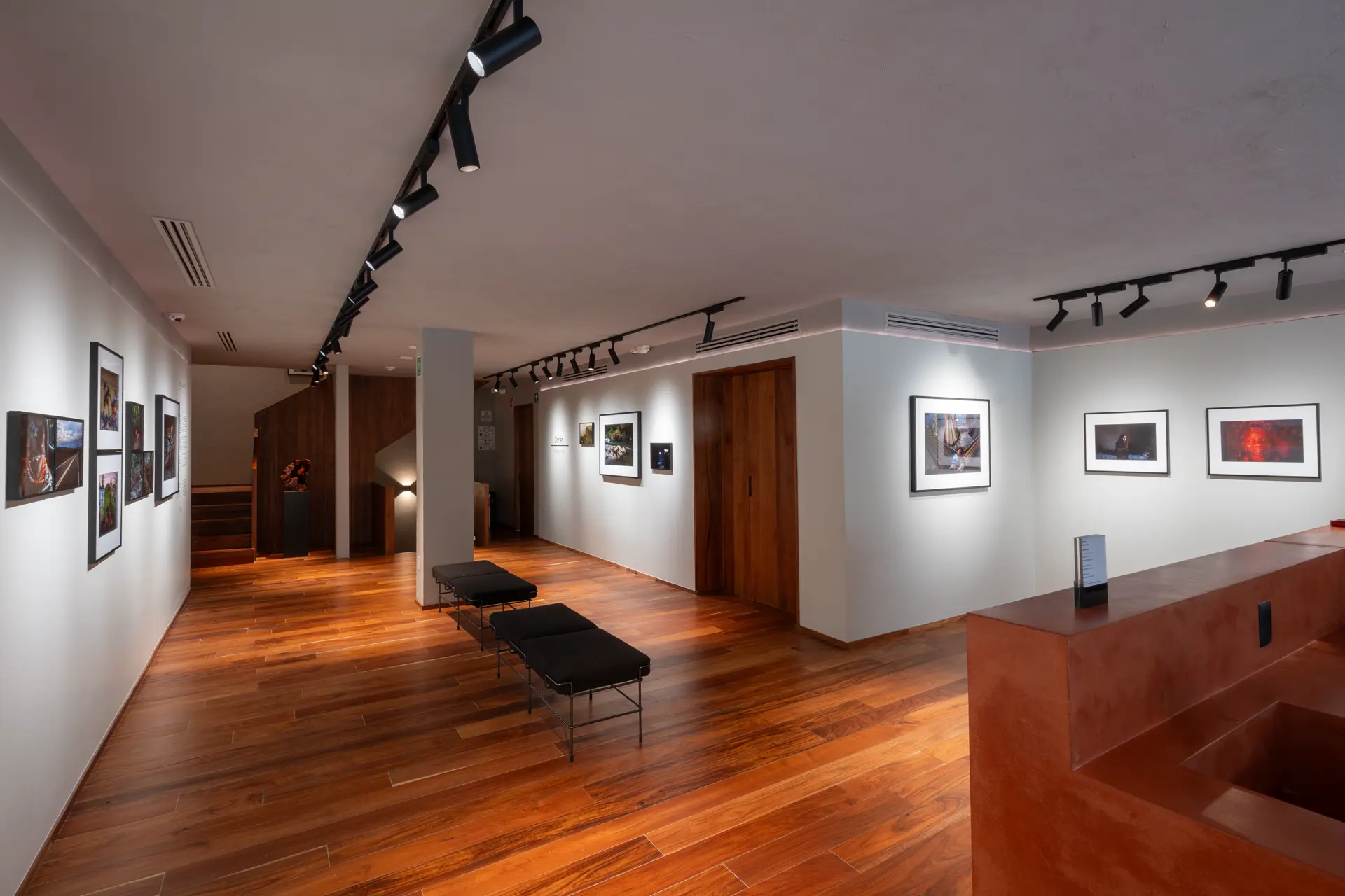 Gallery installation shot
